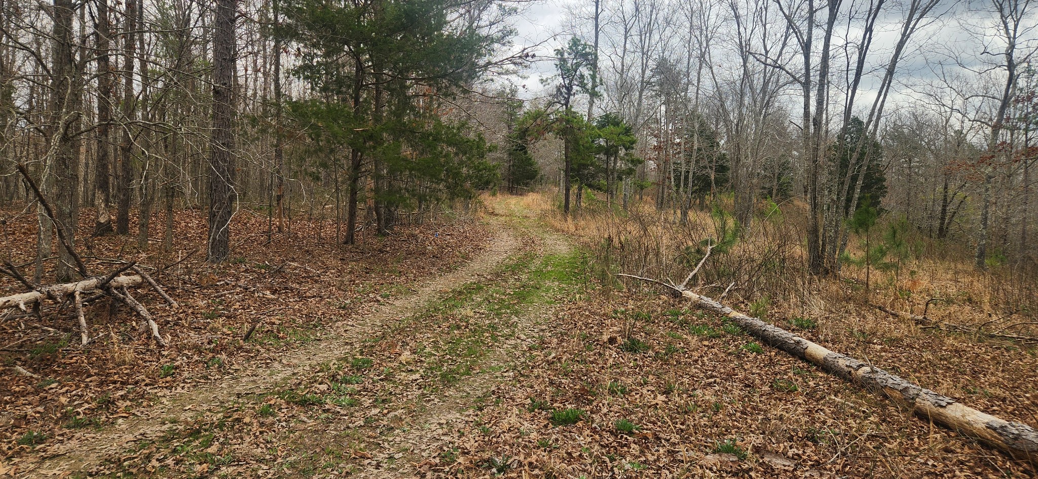 Homes for sale in Duck River, TN | 0 Nine Mile Ridge, Duck River, TN 38454 | MLS# 3154869