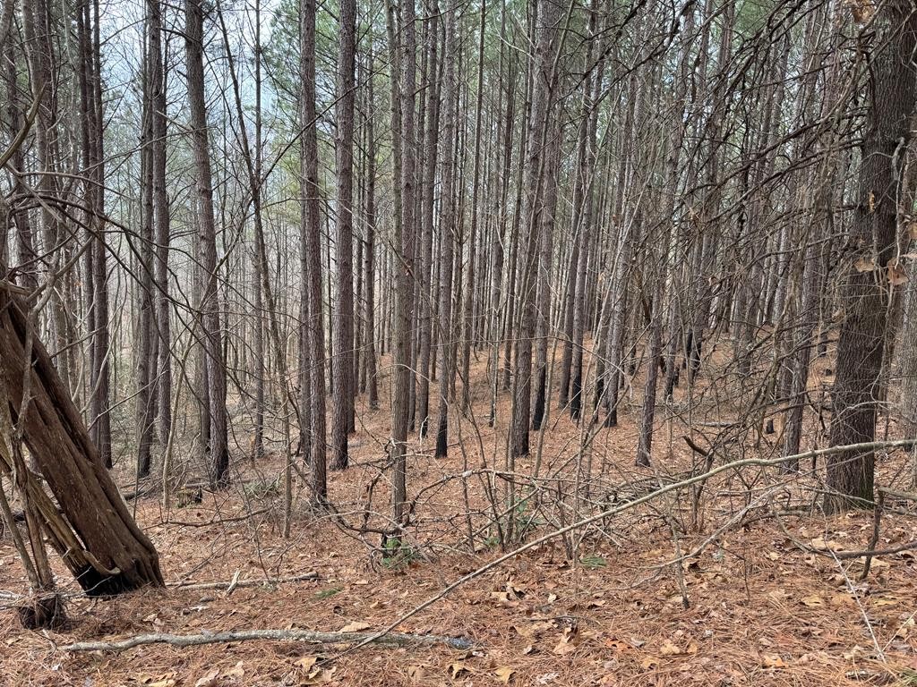 Homes for sale in Camden, TN | 613 Williams Grove Rd, Camden, TN 38320 | MLS# 3133070