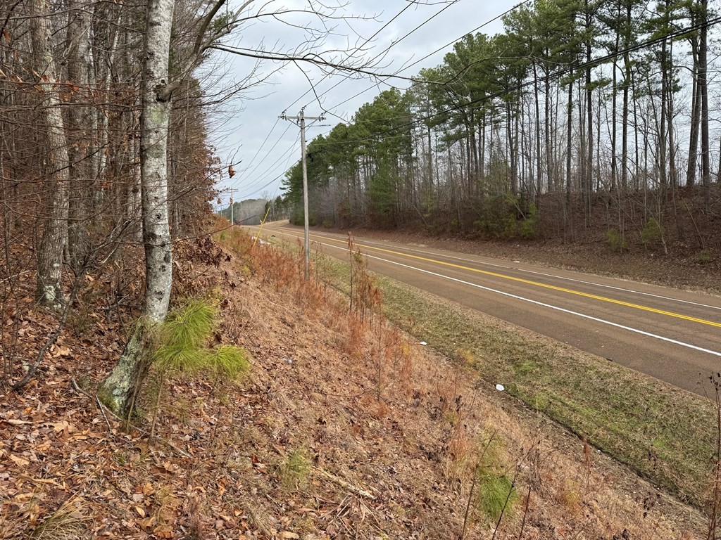 Homes for sale in Camden, TN | 0 Hwy 641 N N, Camden, TN 38320 | MLS# 3133073