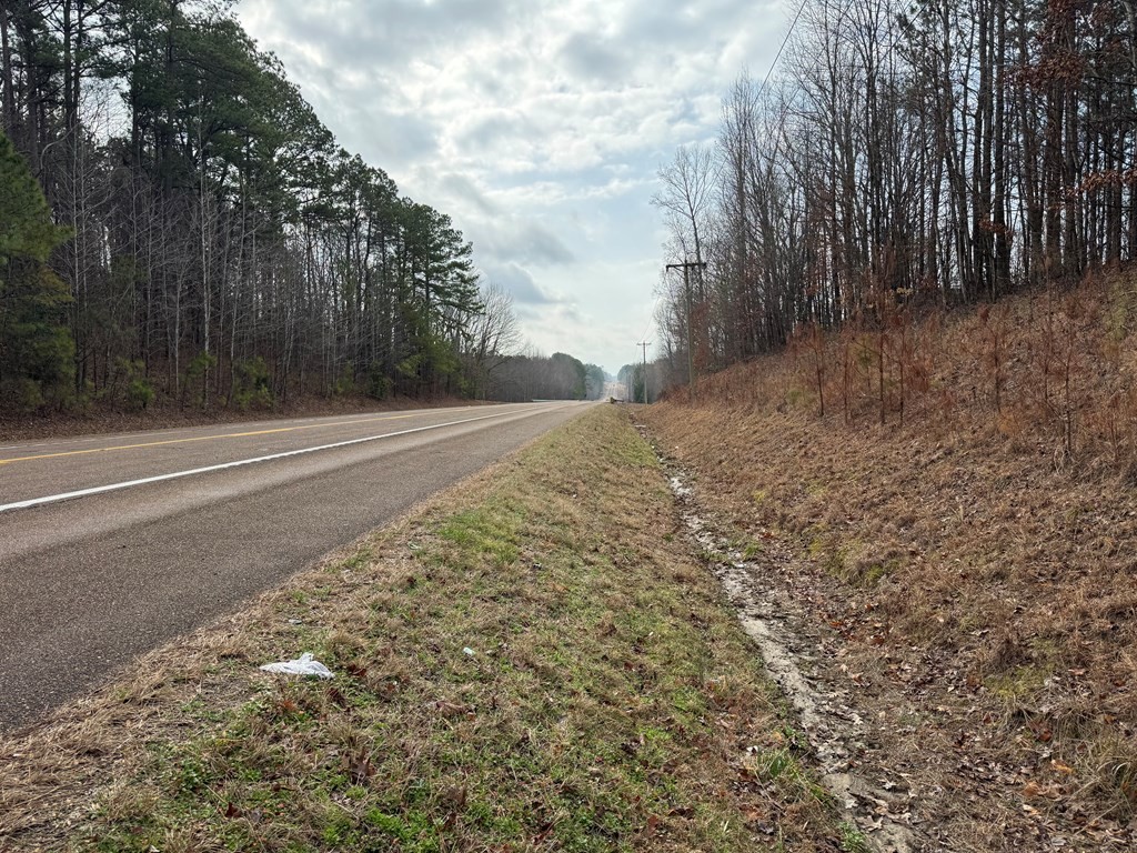 Homes for sale in Camden, TN | 0 Hwy 641 N N, Camden, TN 38320 | MLS# 3133073