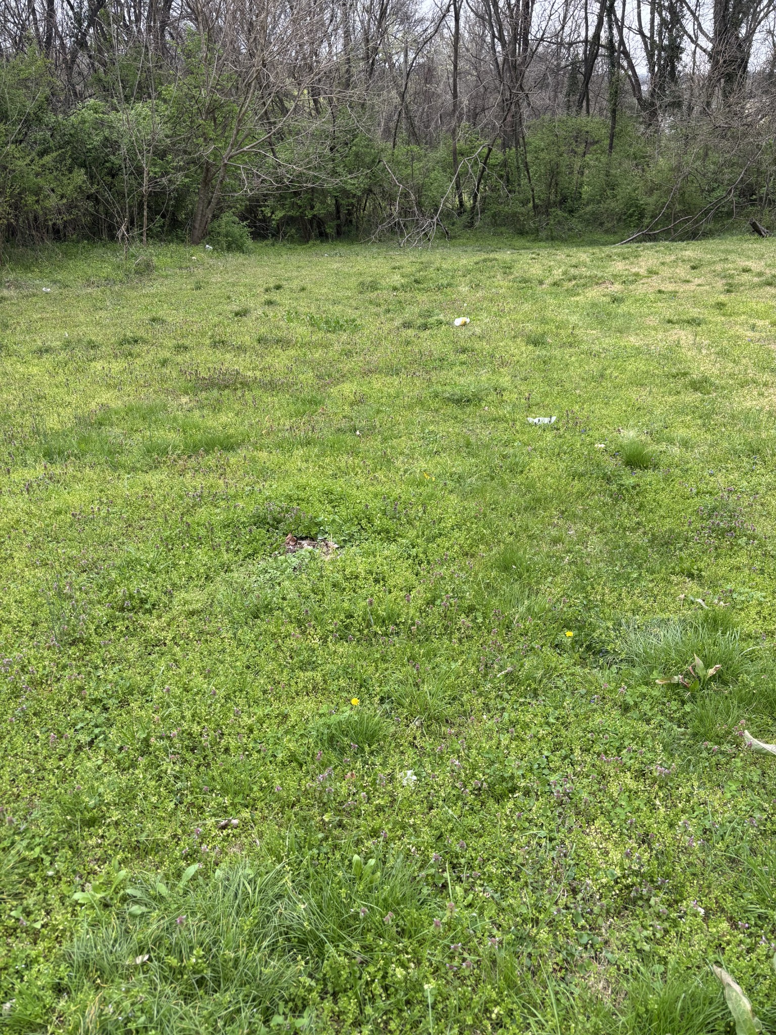 Homes for sale in Columbia, TN | 0 W 3rd St, Columbia, TN 38401 | MLS# 3145109