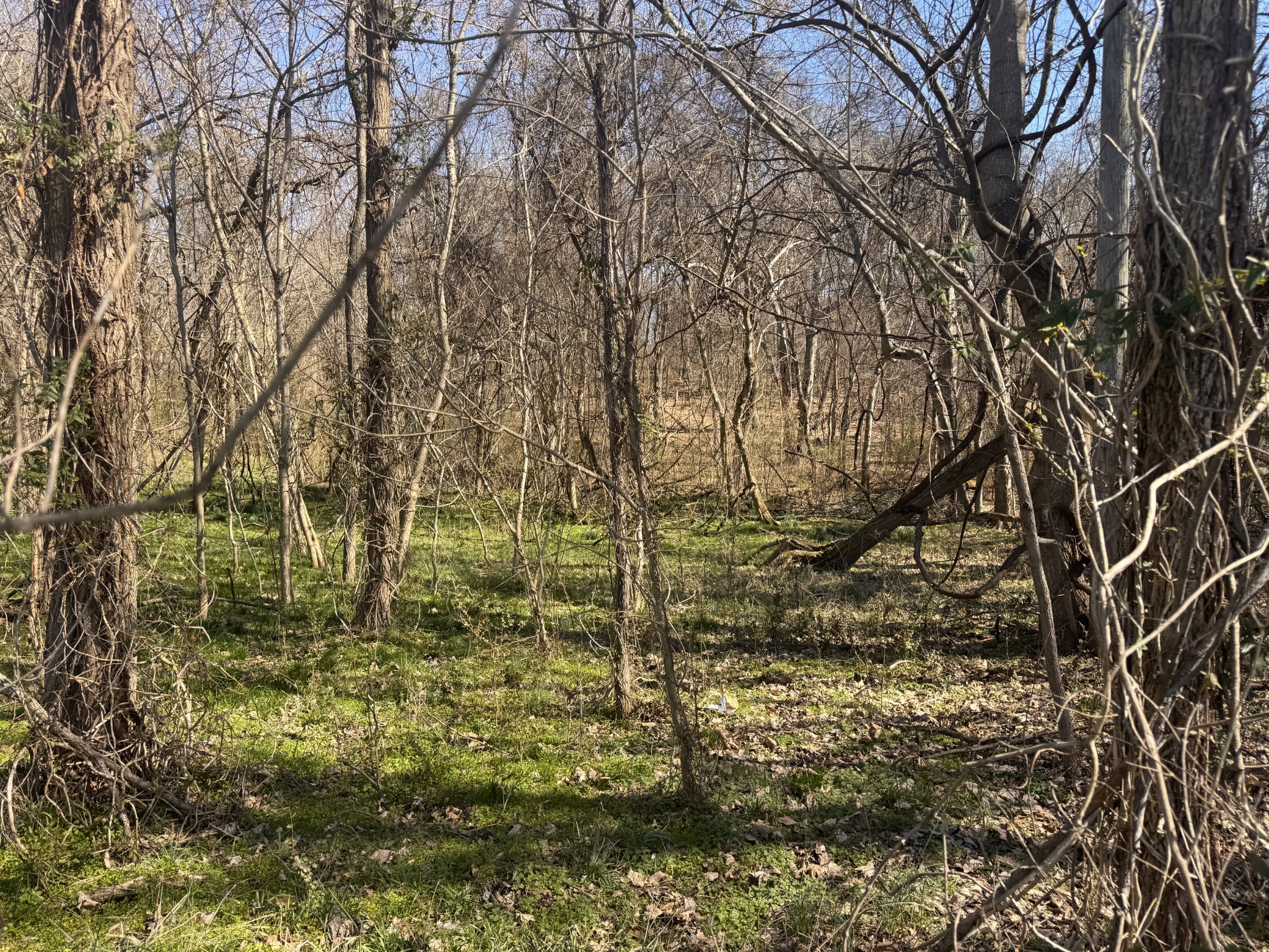 Homes for sale in Oak Grove, KY | 0 Pembroke Oak Grove Rd, Oak Grove, KY 42262 | MLS# 3137700