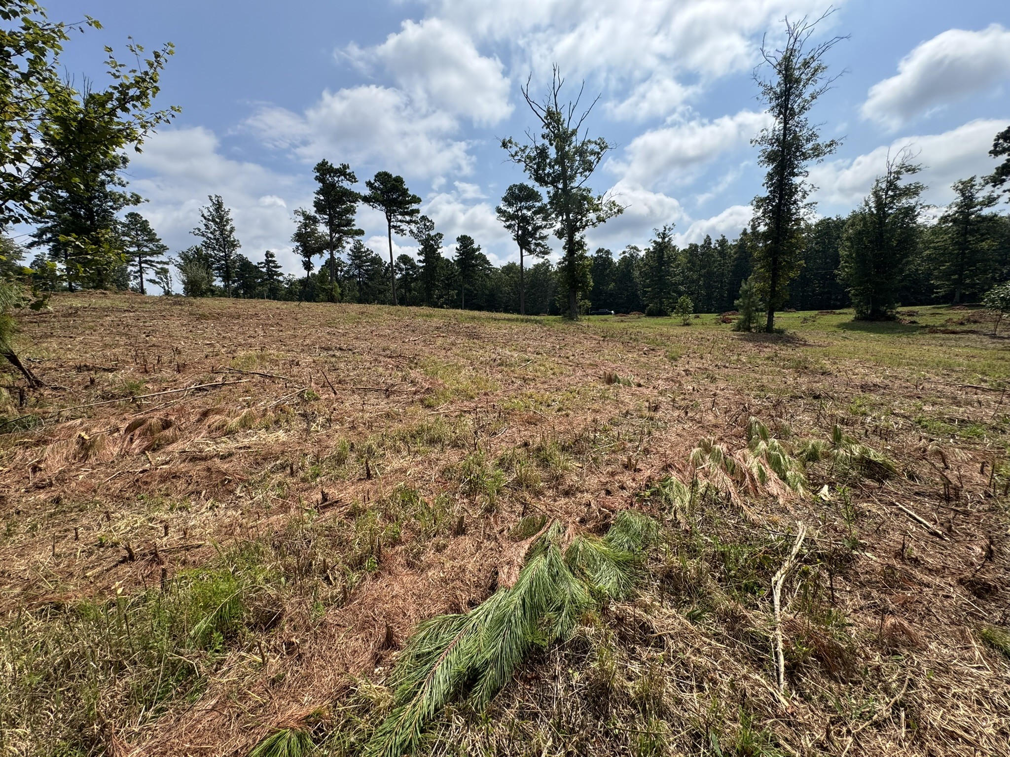 Homes for sale in Belvidere, TN | 0 Box House Rd, Belvidere, TN 37306 | MLS# 3137765