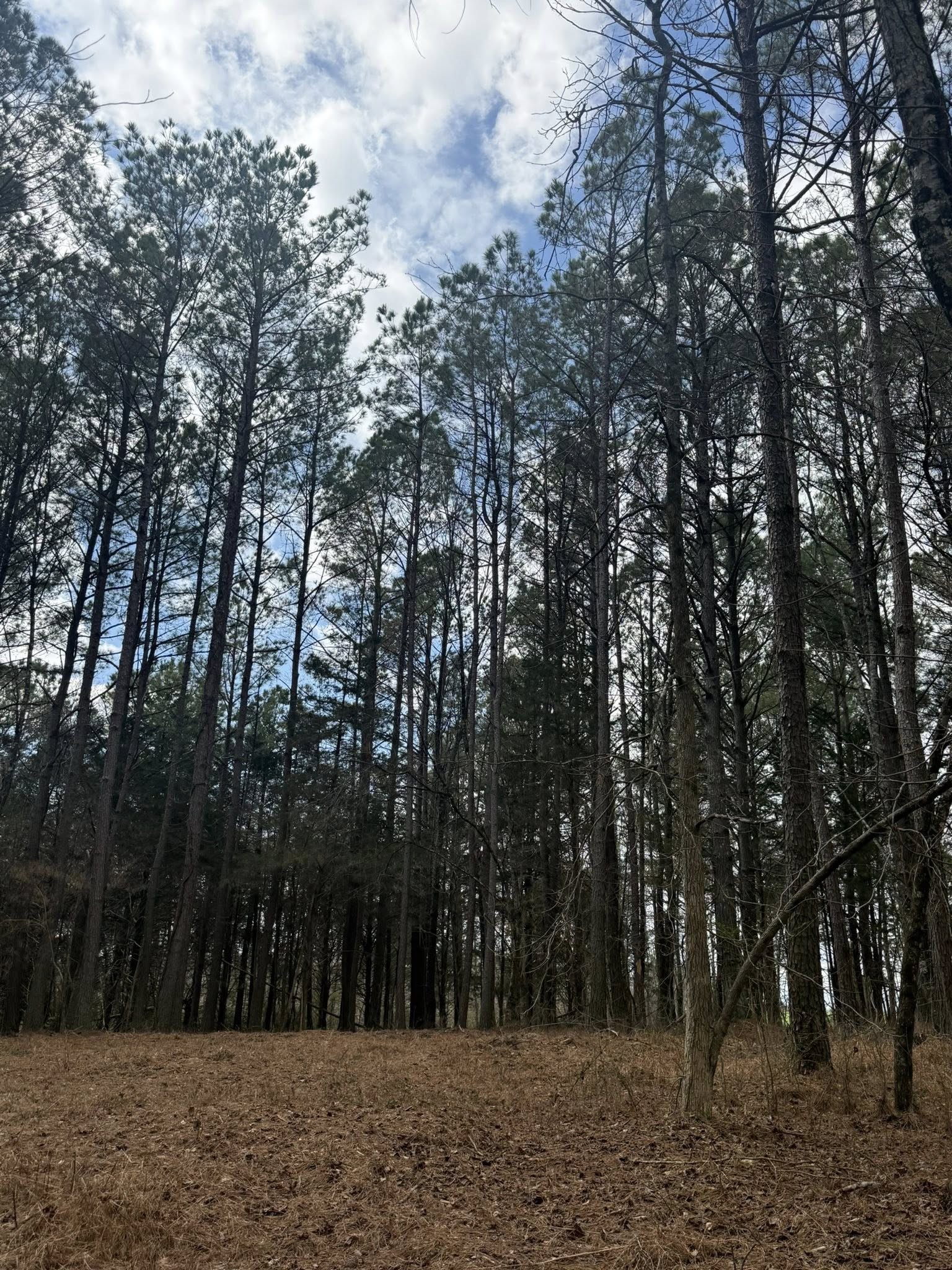 Homes for sale in Morrison, TN | 5583 Petigap Rd, Morrison, TN 37357 | MLS# 3145584