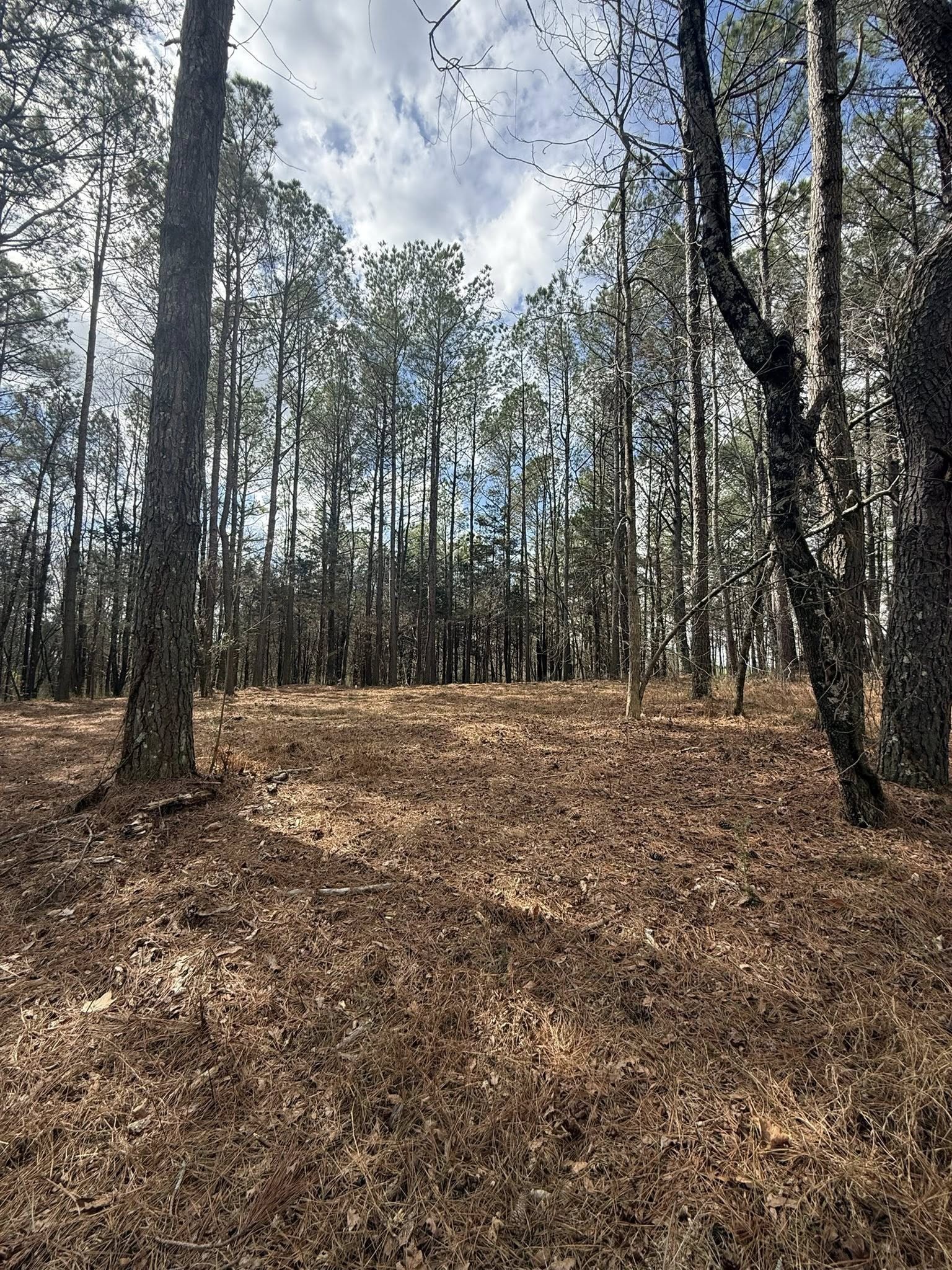 Homes for sale in Morrison, TN | 5583 Petigap Rd, Morrison, TN 37357 | MLS# 3145584