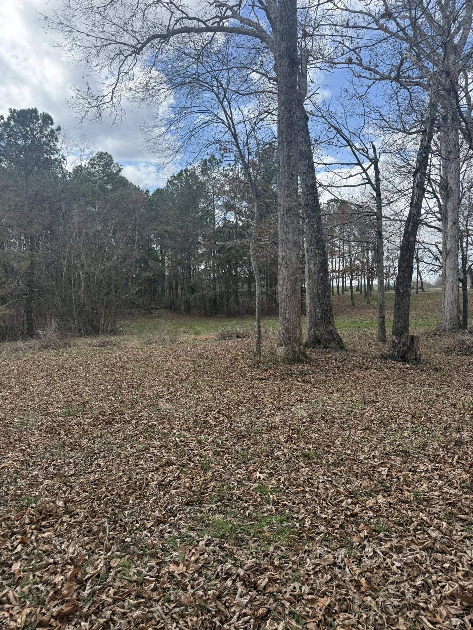 Homes for sale in Morrison, TN | 5583 Petigap Rd, Morrison, TN 37357 | MLS# 3145584