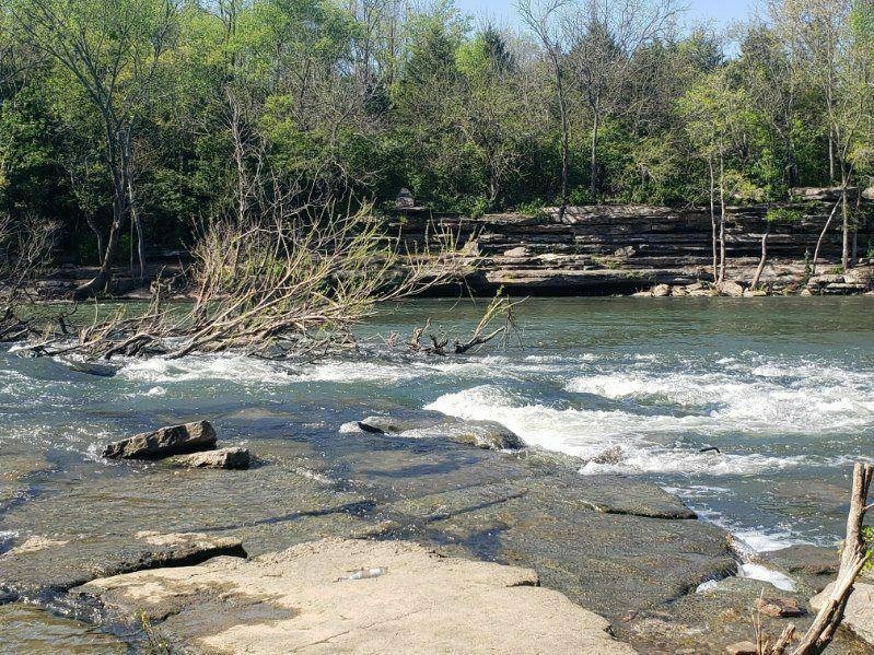 Homes for sale in Murfreesboro, TN | 4250 Oswin Dr, Murfreesboro, TN 37129 | MLS# 3146243