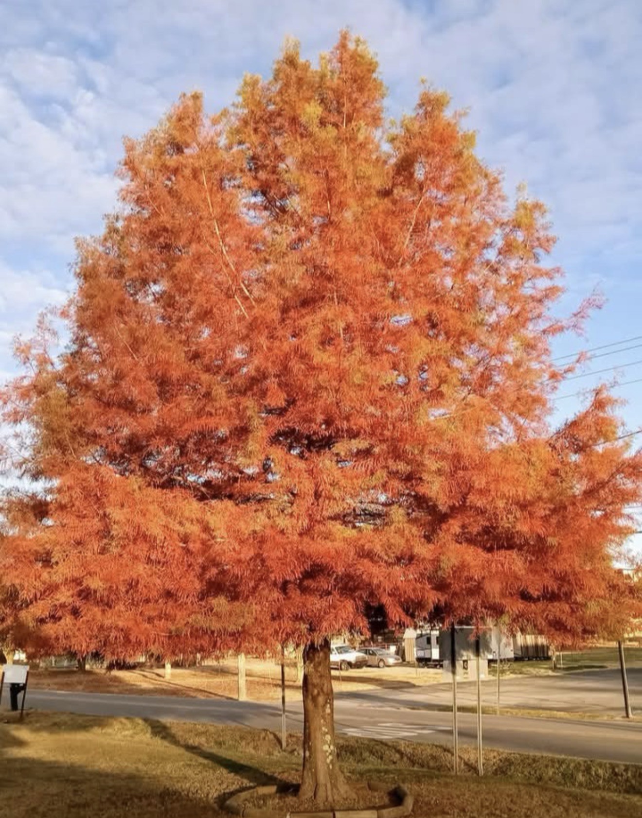 Homes for sale in Taft, TN | 1376 Ardmore Hwy, Taft, TN 38488 | MLS# 3156188