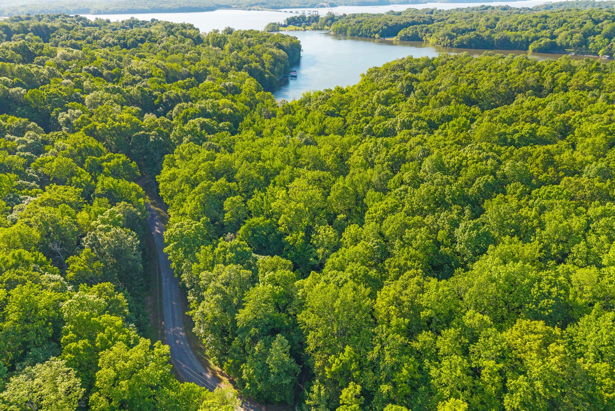 Homes for sale in Cadiz, KY | 0 Periwinkle Hill Rd, Cadiz, KY 42211 | MLS# 3147055