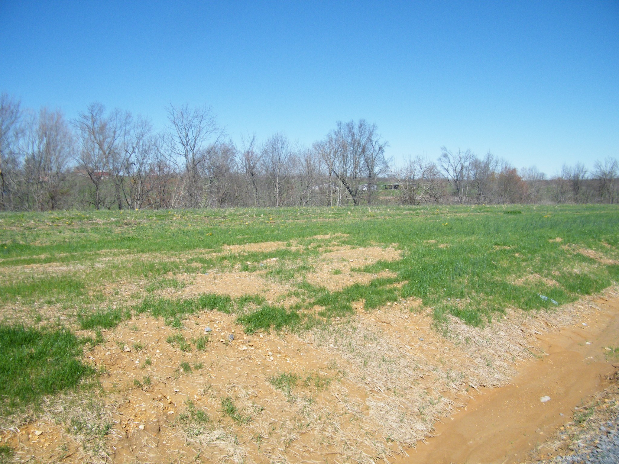 Homes for sale in Westmoreland, TN | 199 Daniel Lane, Westmoreland, TN 37186 | MLS# 3148738