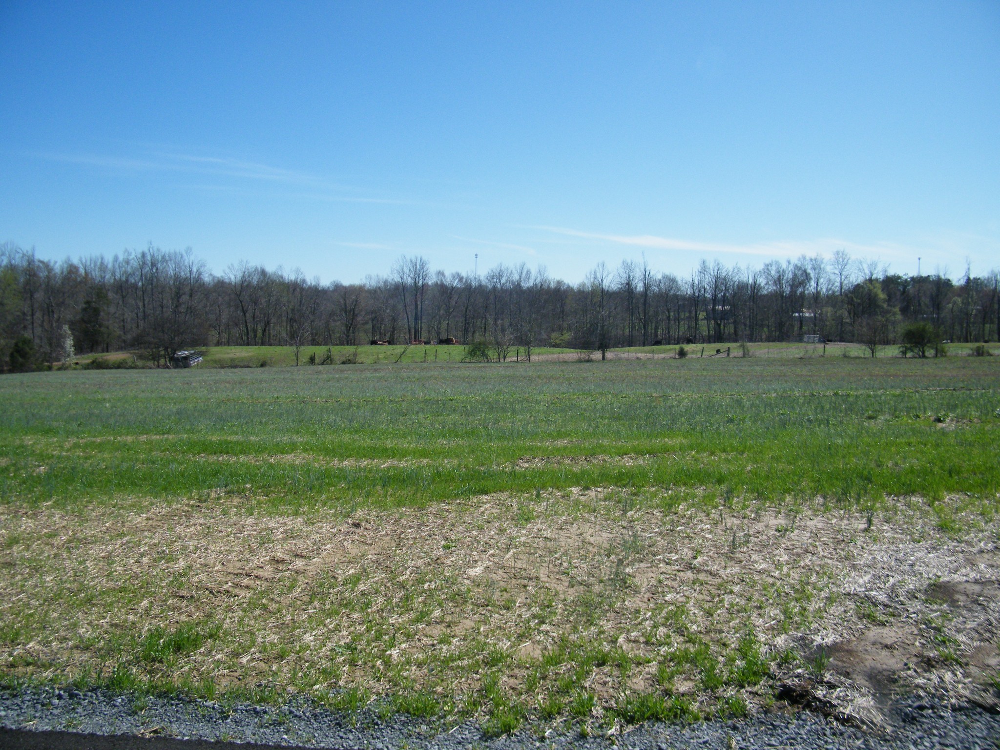 Homes for sale in Westmoreland, TN | 260 Daniel Lane, Westmoreland, TN 37186 | MLS# 3148760