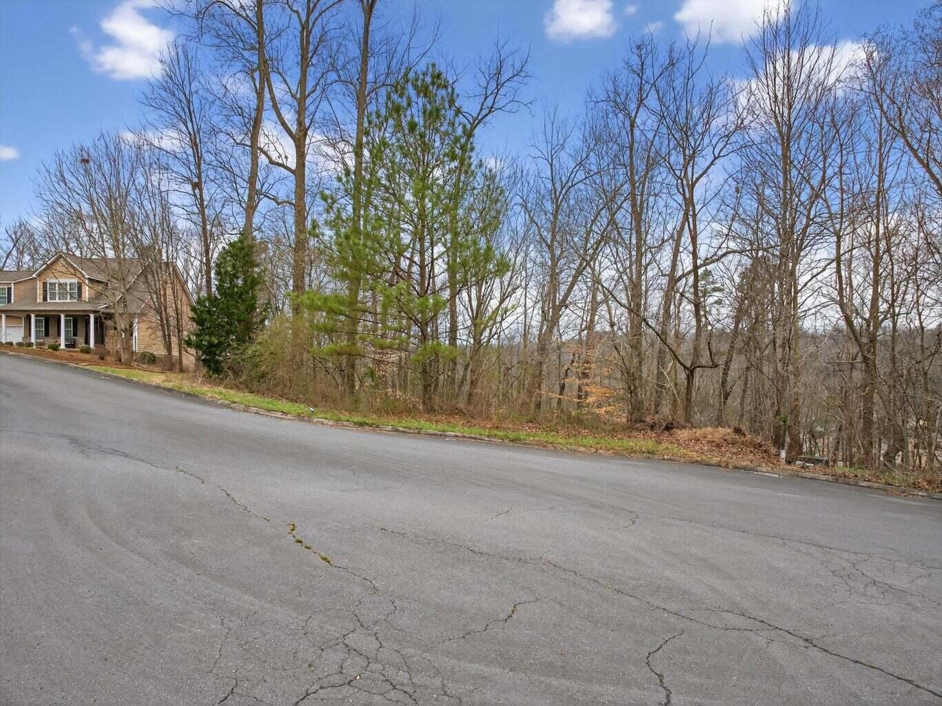Homes for sale in Rocky Face, GA | 0 Turkey Trot Lot 15 Dr, Rocky Face, GA 30740 | MLS# 3301789