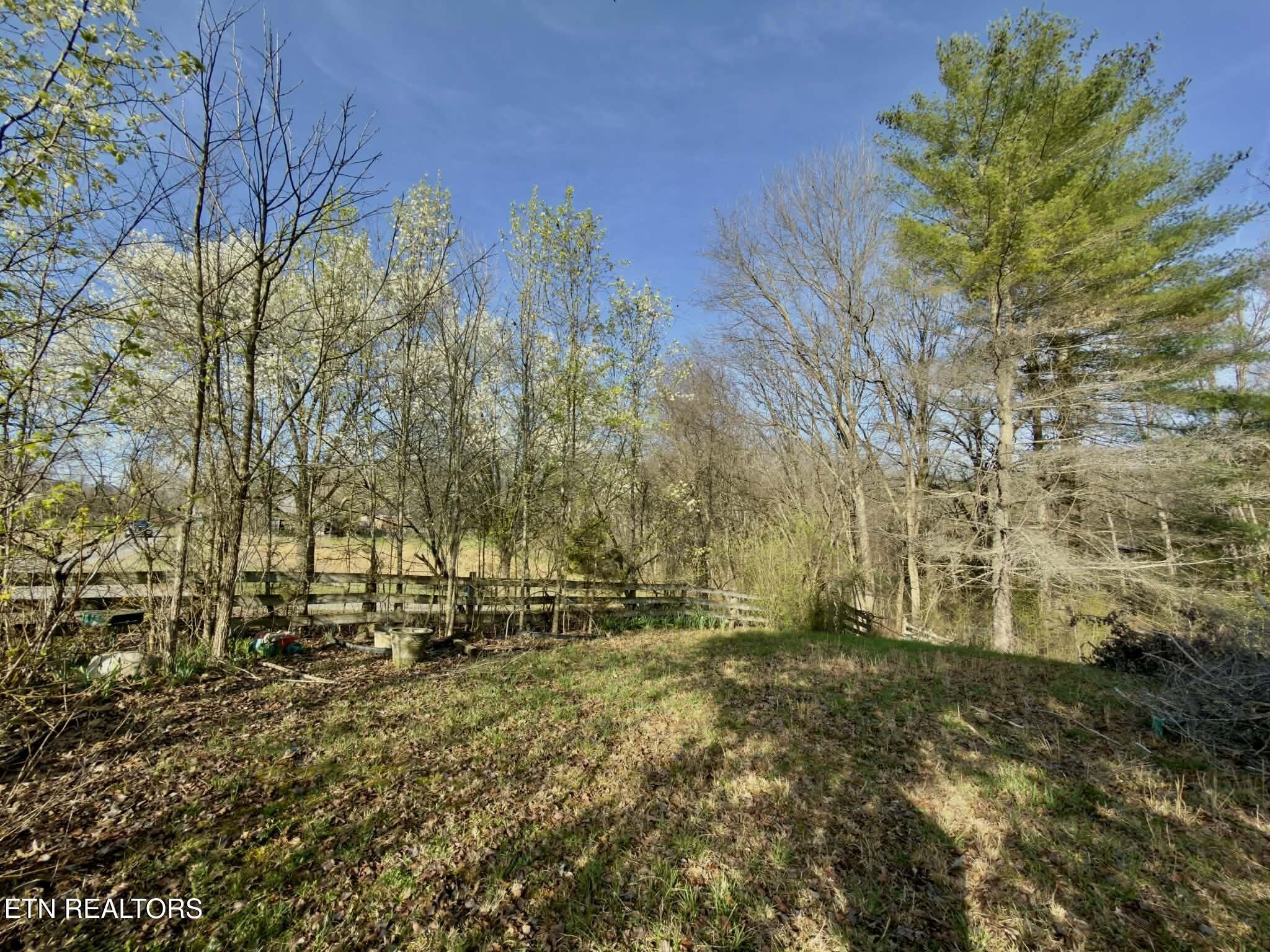 Homes for sale in Mosheim, TN | 205 Knight Hollow Lane, Mosheim, TN 37818 | MLS# 3154902