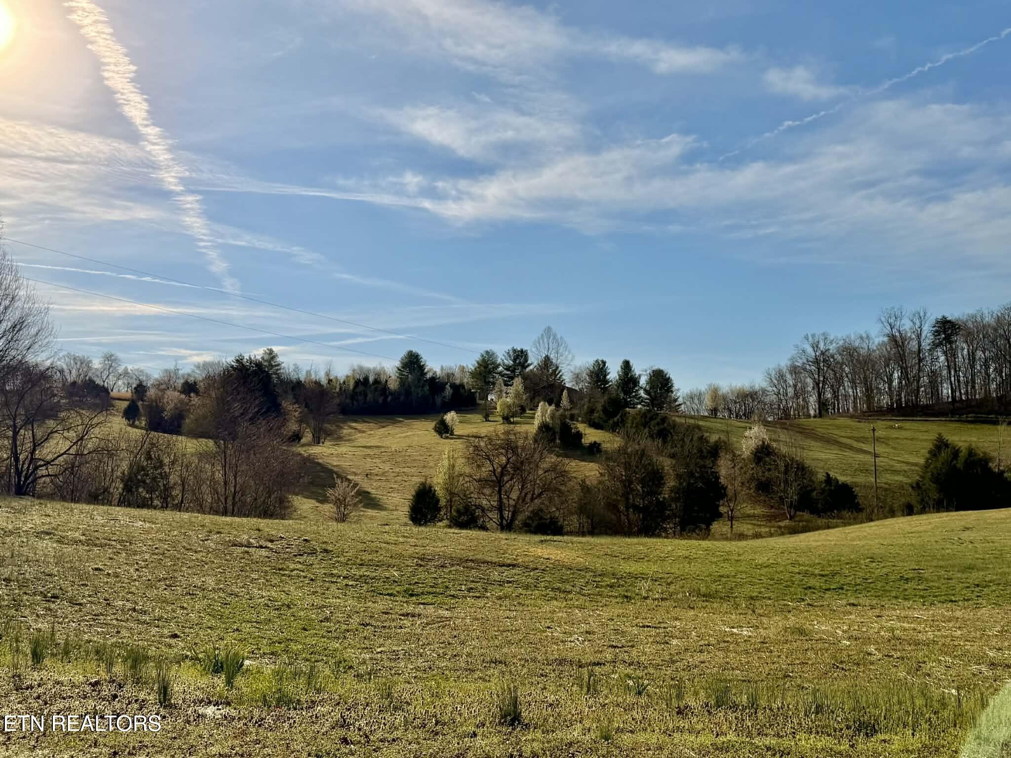 Homes for sale in Mosheim, TN | 205 Knight Hollow Lane, Mosheim, TN 37818 | MLS# 3154902