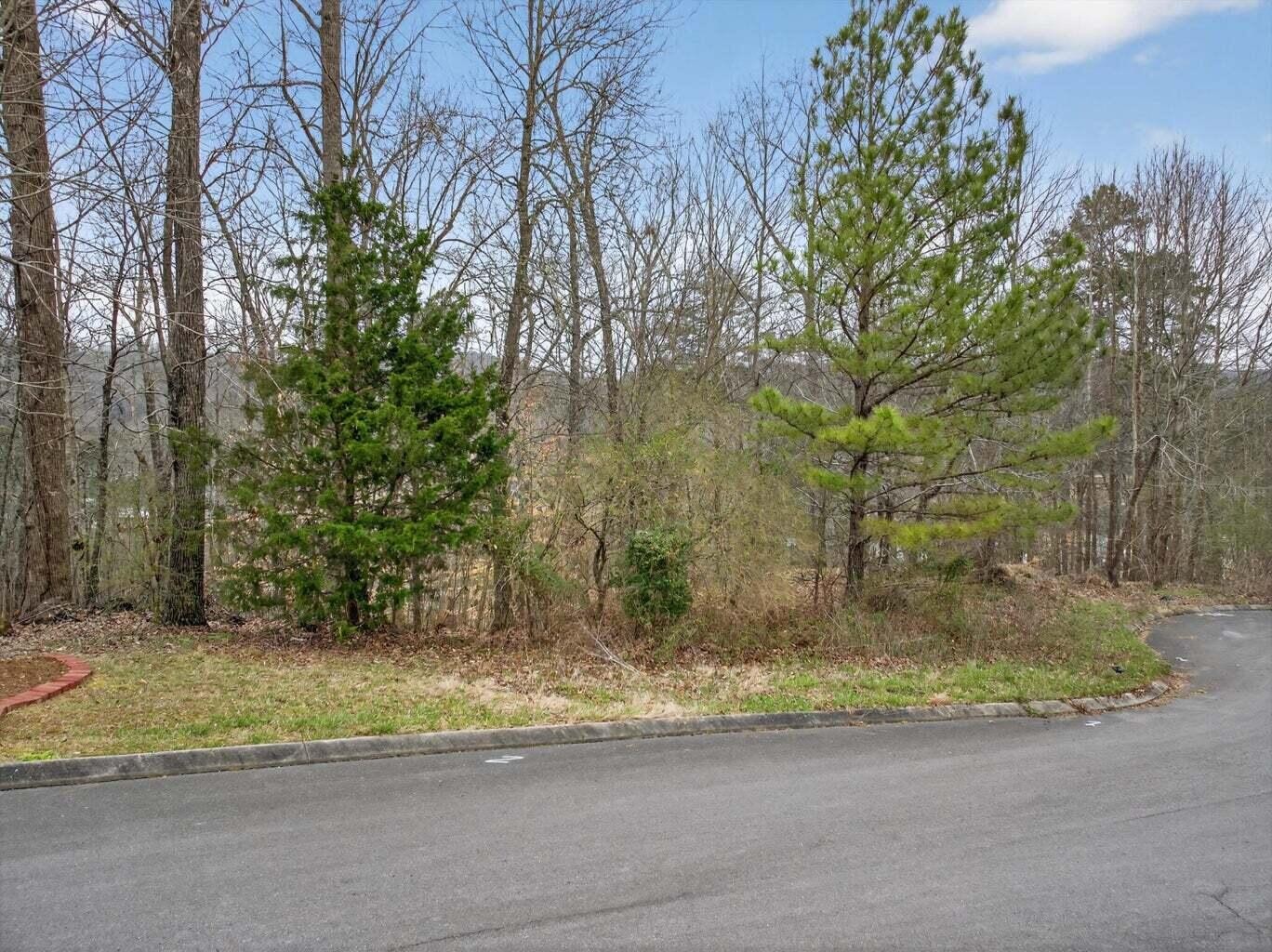 Homes for sale in Rocky Face, GA | 0 Turkey Trot Lot 14 Dr, Rocky Face, GA 30740 | MLS# 3301787