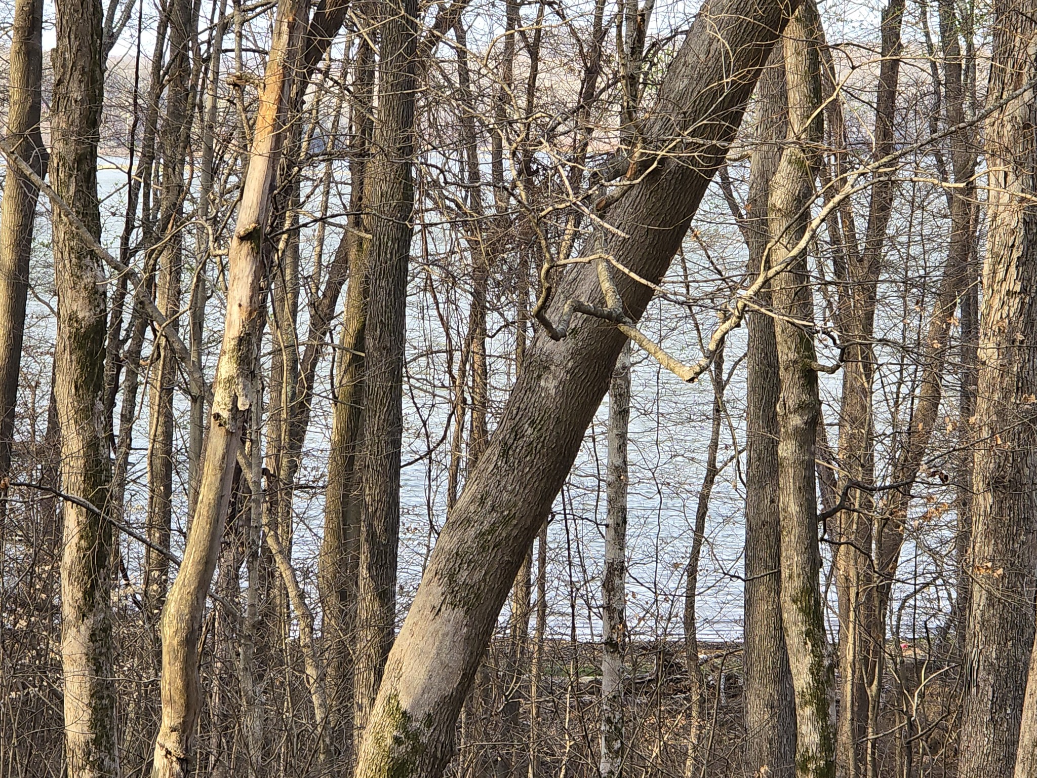 Homes for sale in Cadiz, KY | 33 Rockcastle Shores, Cadiz, KY 42211 | MLS# 3154698