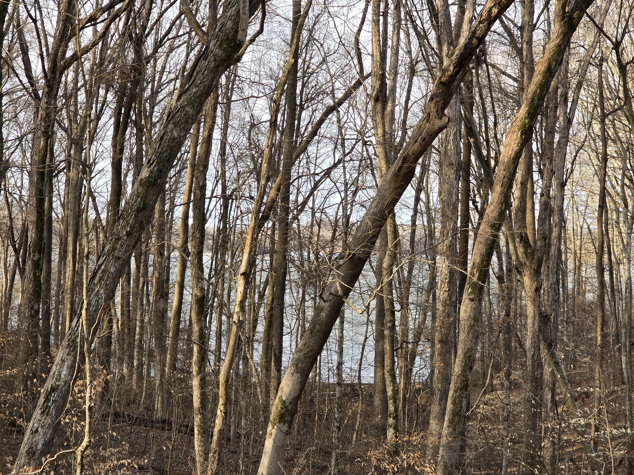 Homes for sale in Cadiz, KY | 33 Rockcastle Shores, Cadiz, KY 42211 | MLS# 3154698