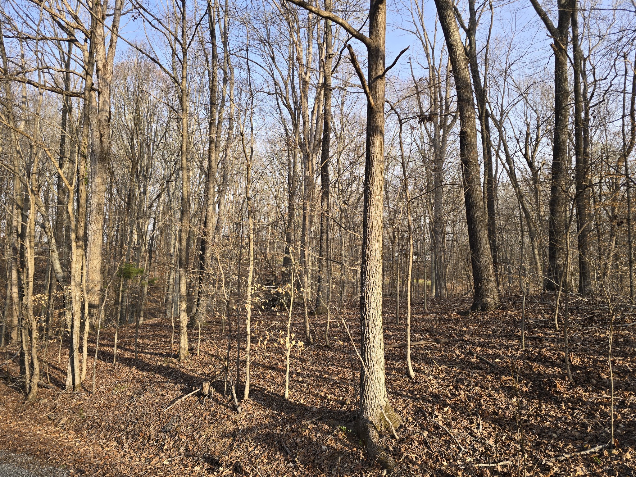 Homes for sale in Cadiz, KY | 33 Rockcastle Shores, Cadiz, KY 42211 | MLS# 3154698