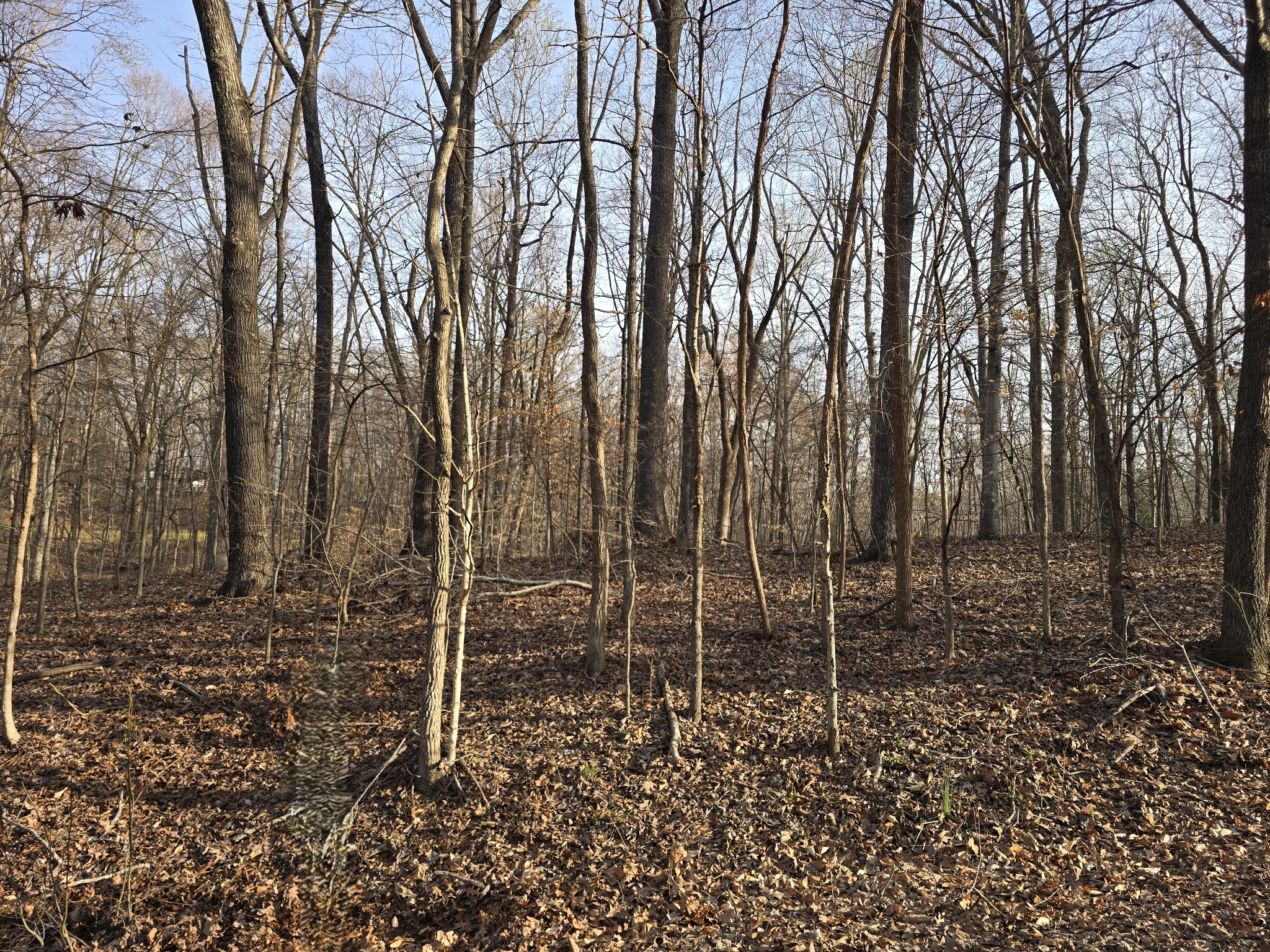 Homes for sale in Cadiz, KY | 33 Rockcastle Shores, Cadiz, KY 42211 | MLS# 3154698