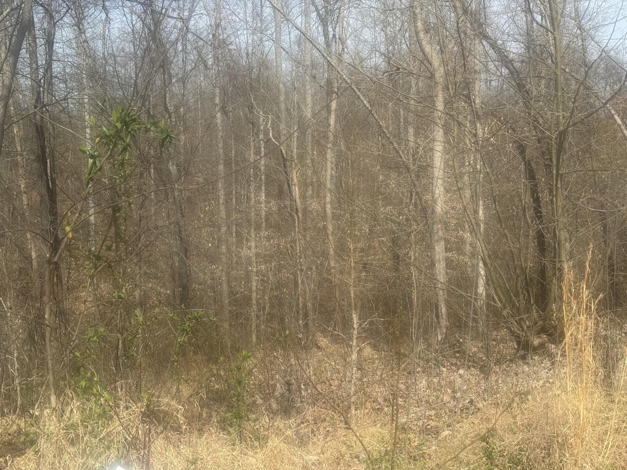 Homes for sale in Smithville, TN | 0 Ridgeway Dr, Smithville, TN 37166 | MLS# 3154938