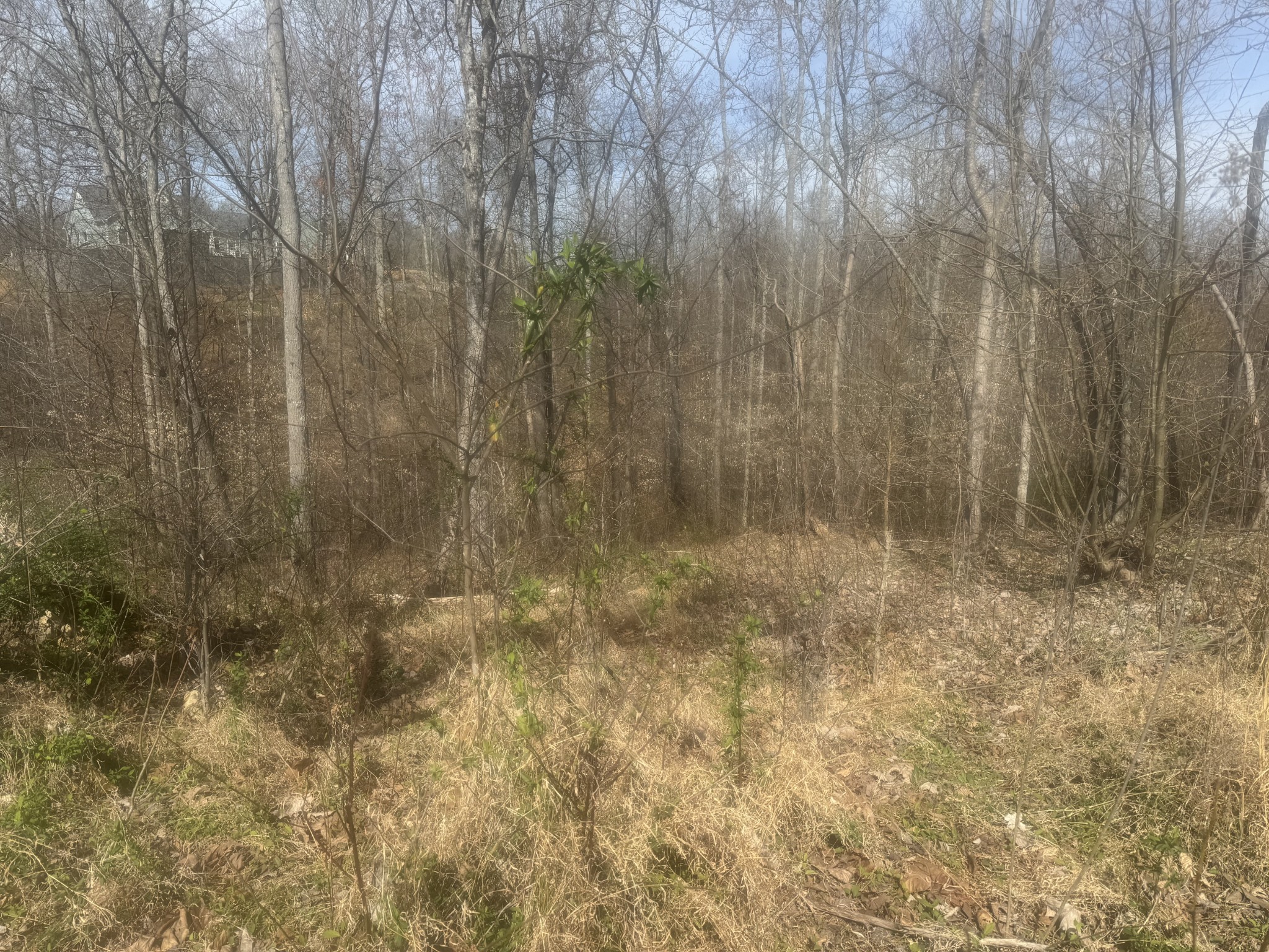 Homes for sale in Smithville, TN | 0 Ridgeway Dr, Smithville, TN 37166 | MLS# 3154938