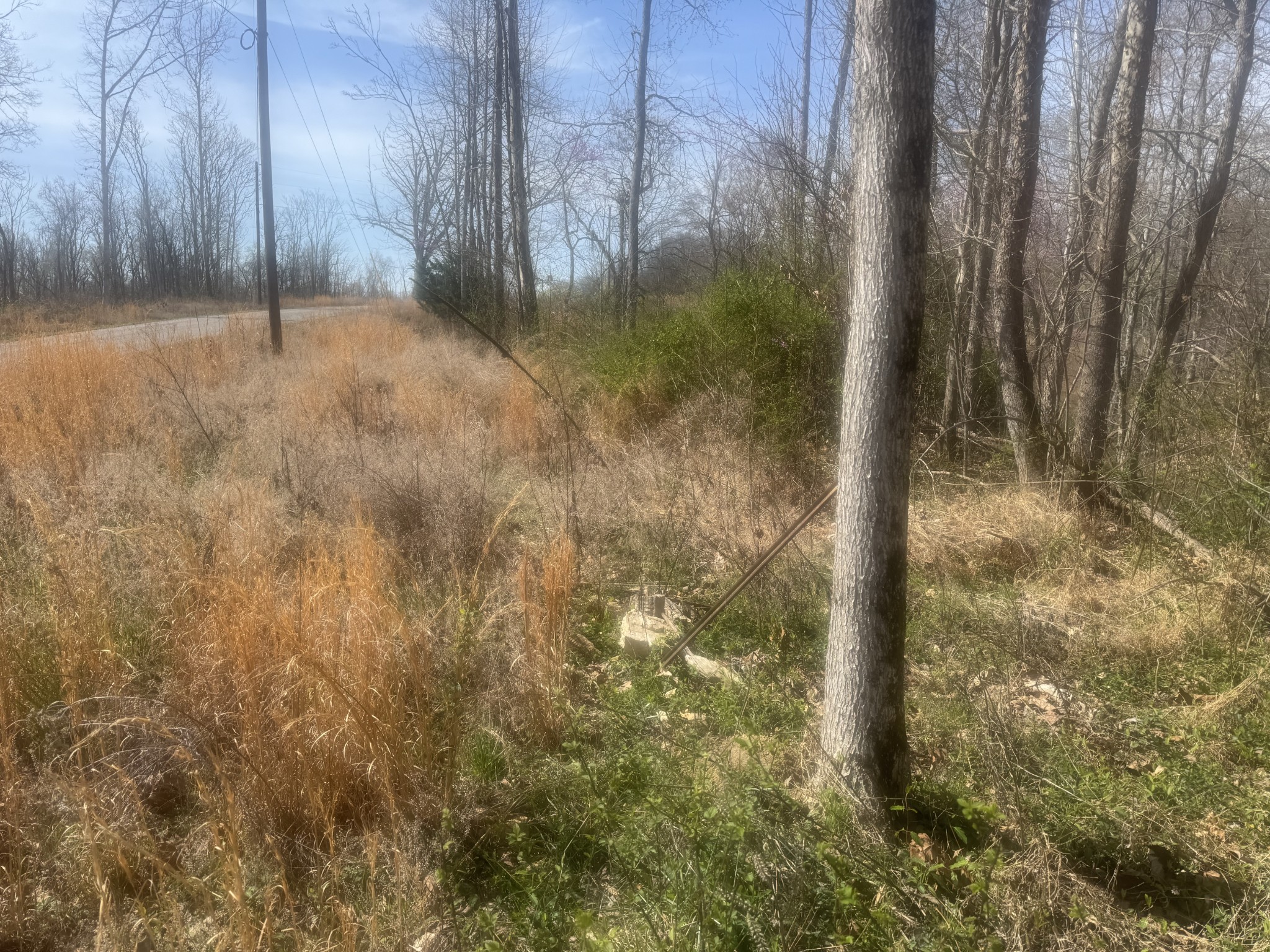 Homes for sale in Smithville, TN | 0 Ridgeway Dr, Smithville, TN 37166 | MLS# 3154938