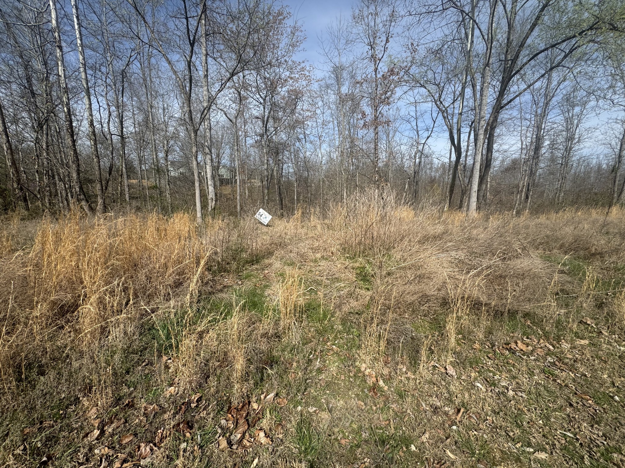 Homes for sale in Smithville, TN | 0 Ridgeway Dr, Smithville, TN 37166 | MLS# 3154938