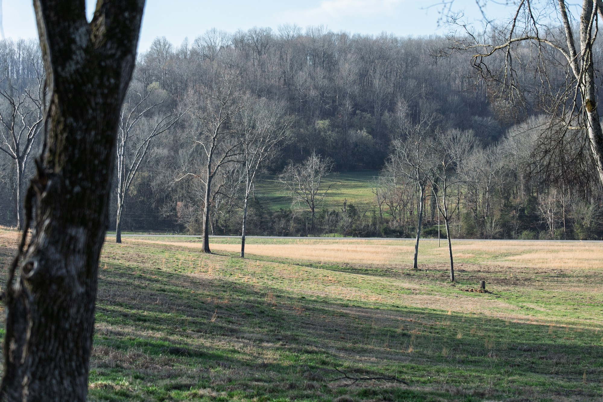 Homes for sale in Hampshire, TN | 4648 Love Branch Rd, Hampshire, TN 38461 | MLS# 3152698