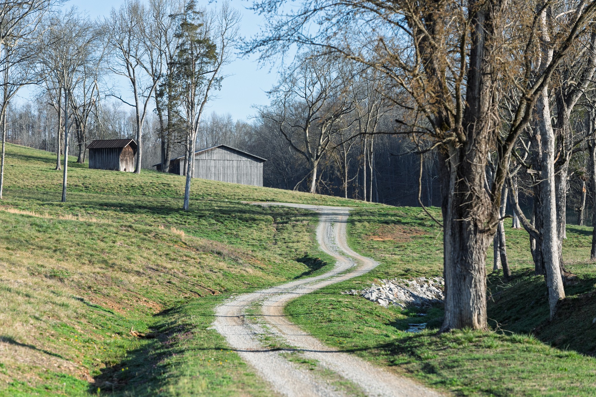 Homes for sale in Hampshire, TN | 4648 Love Branch Rd, Hampshire, TN 38461 | MLS# 3152698