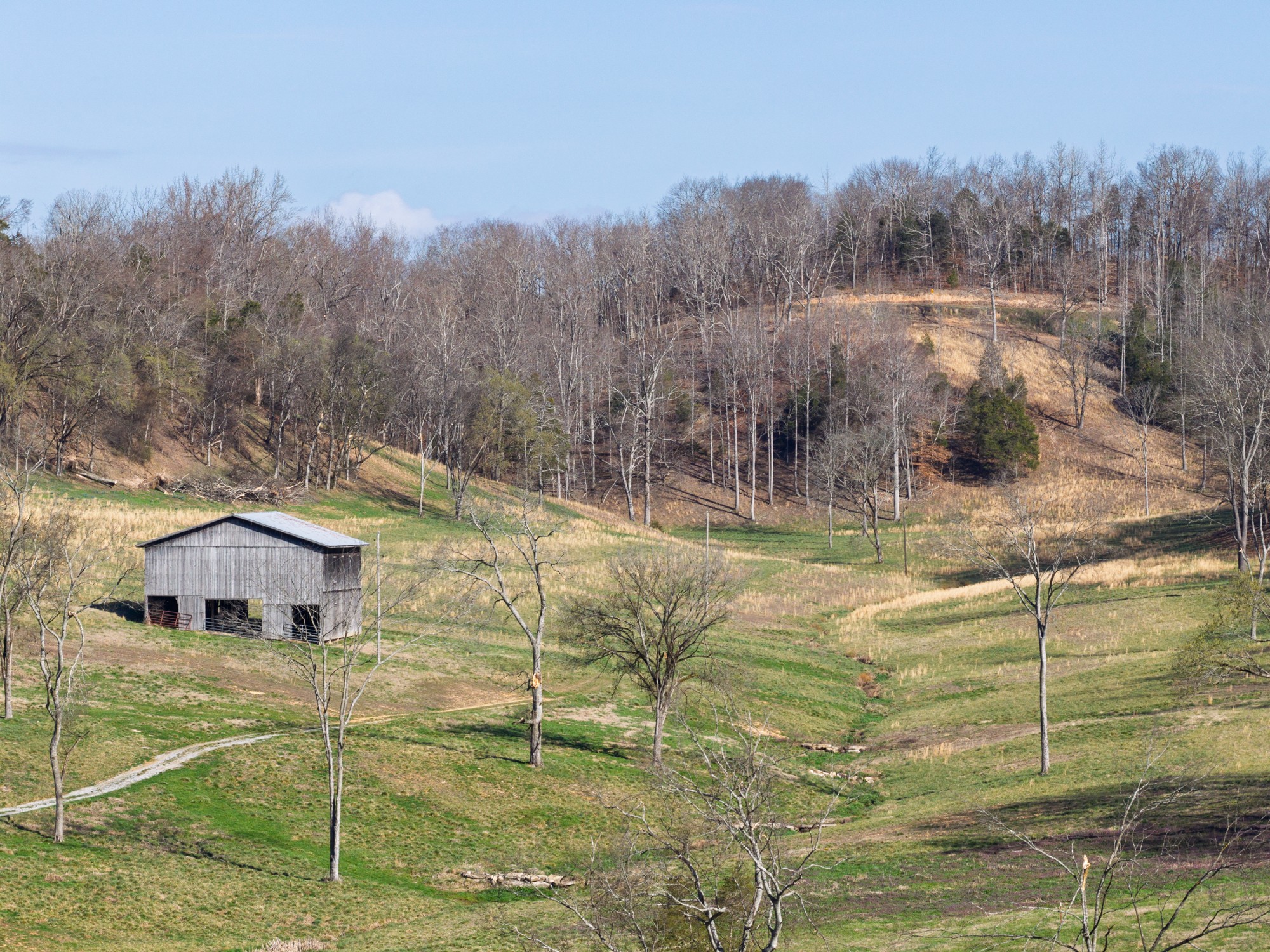 Homes for sale in Hampshire, TN | 4648 Love Branch Rd, Hampshire, TN 38461 | MLS# 3152698