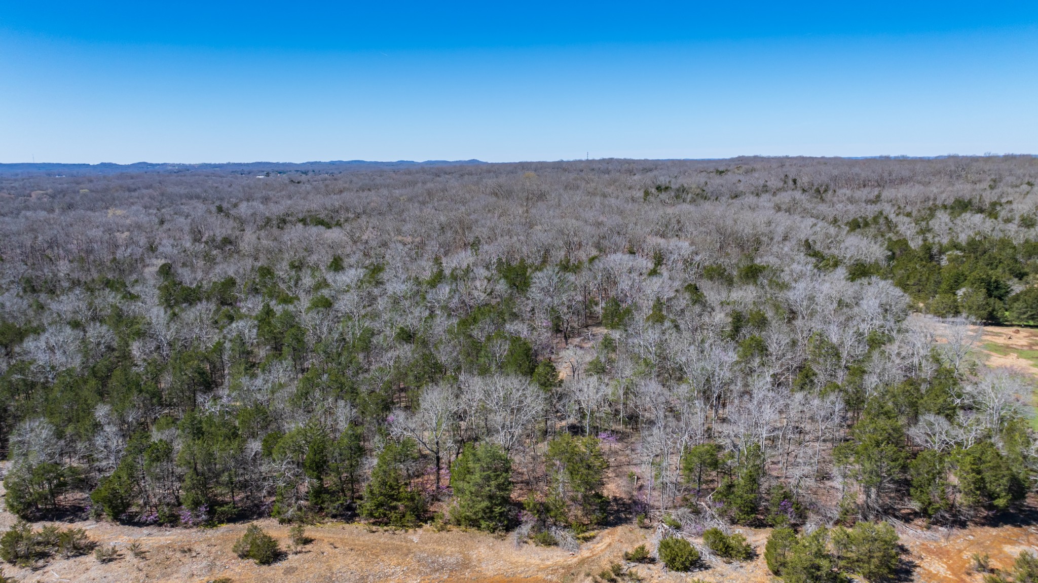 Homes for sale in Columbia, TN | 3562 Hwy 431, Columbia, TN 38401 | MLS# 3152660