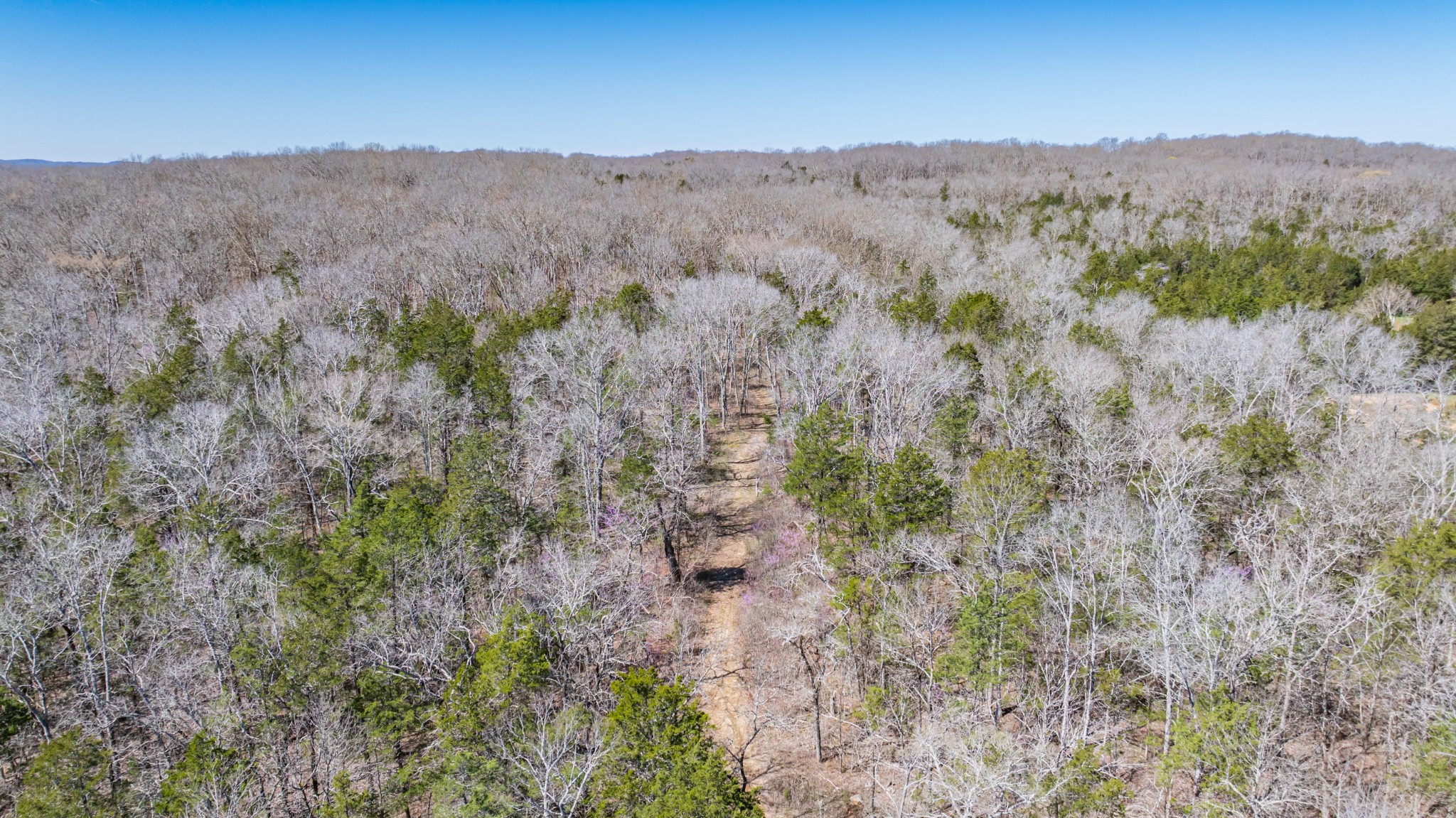 Homes for sale in Columbia, TN | 3562 Hwy 431, Columbia, TN 38401 | MLS# 3152660