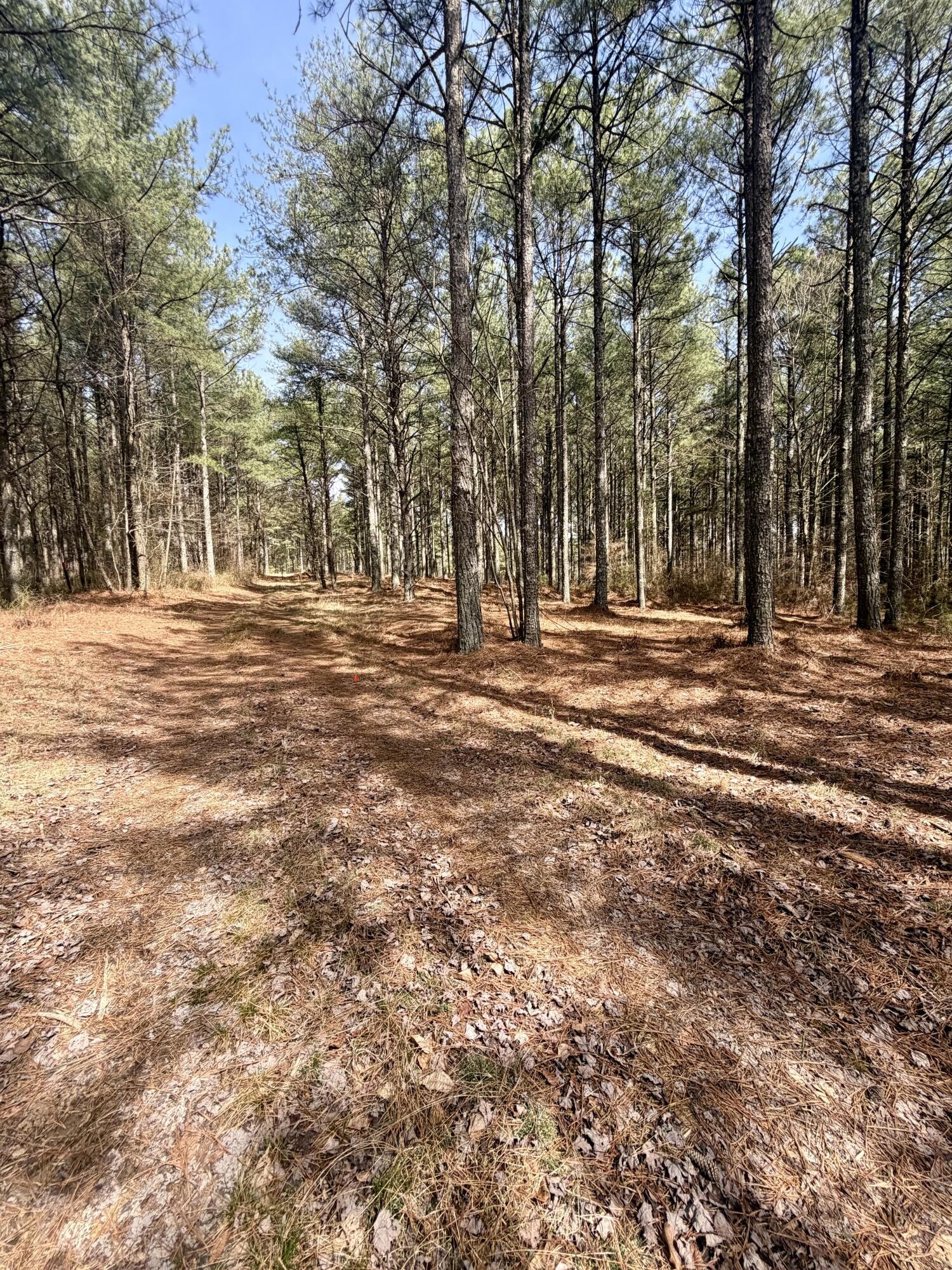 Homes for sale in Guild, TN | 2706 Meditation Lane, Guild, TN 37340 | MLS# 3150216