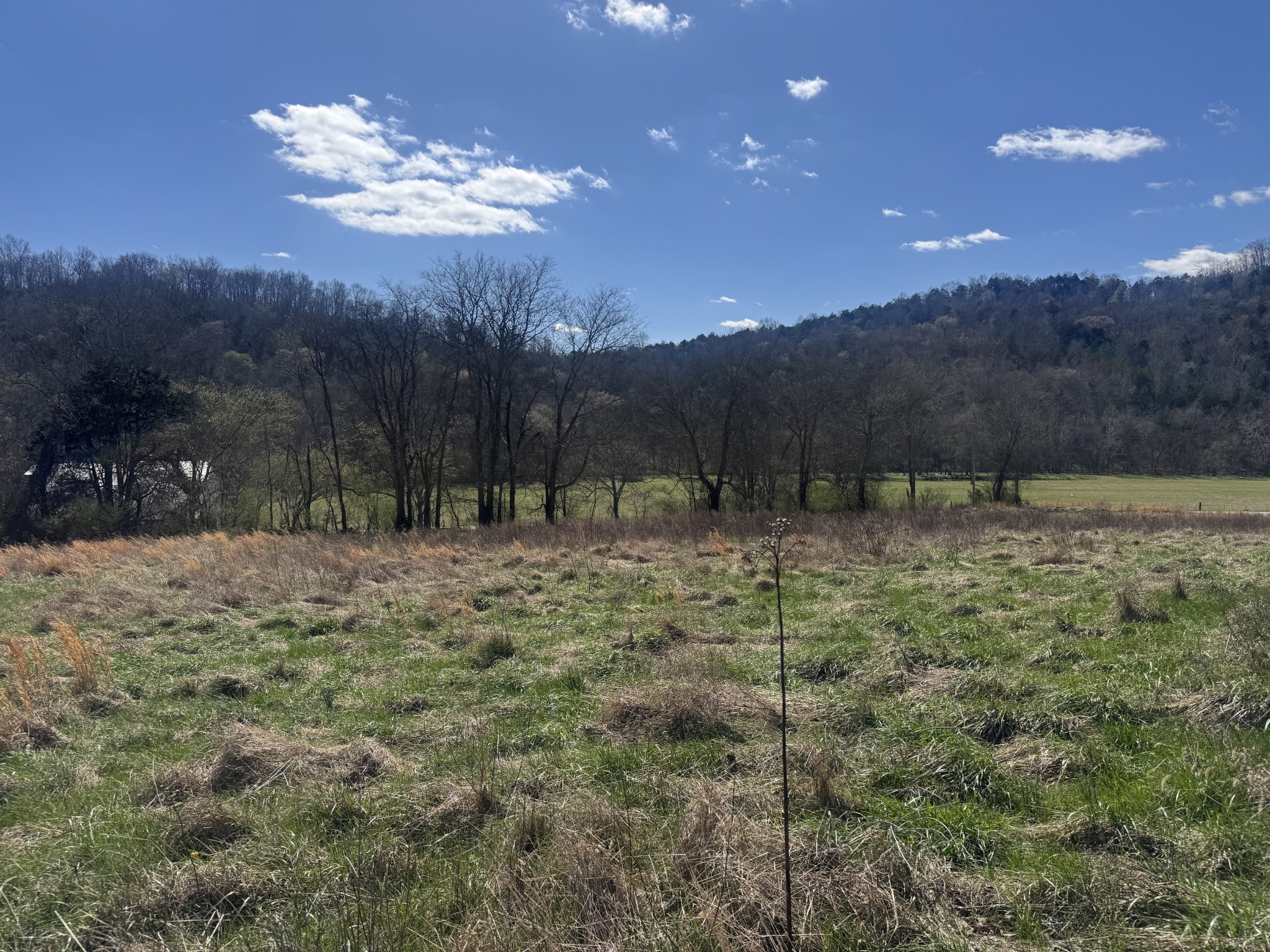 Homes for sale in Gainesboro, TN | 0 Salt Lick Creek Rd, Gainesboro, TN 38562 | MLS# 3150387