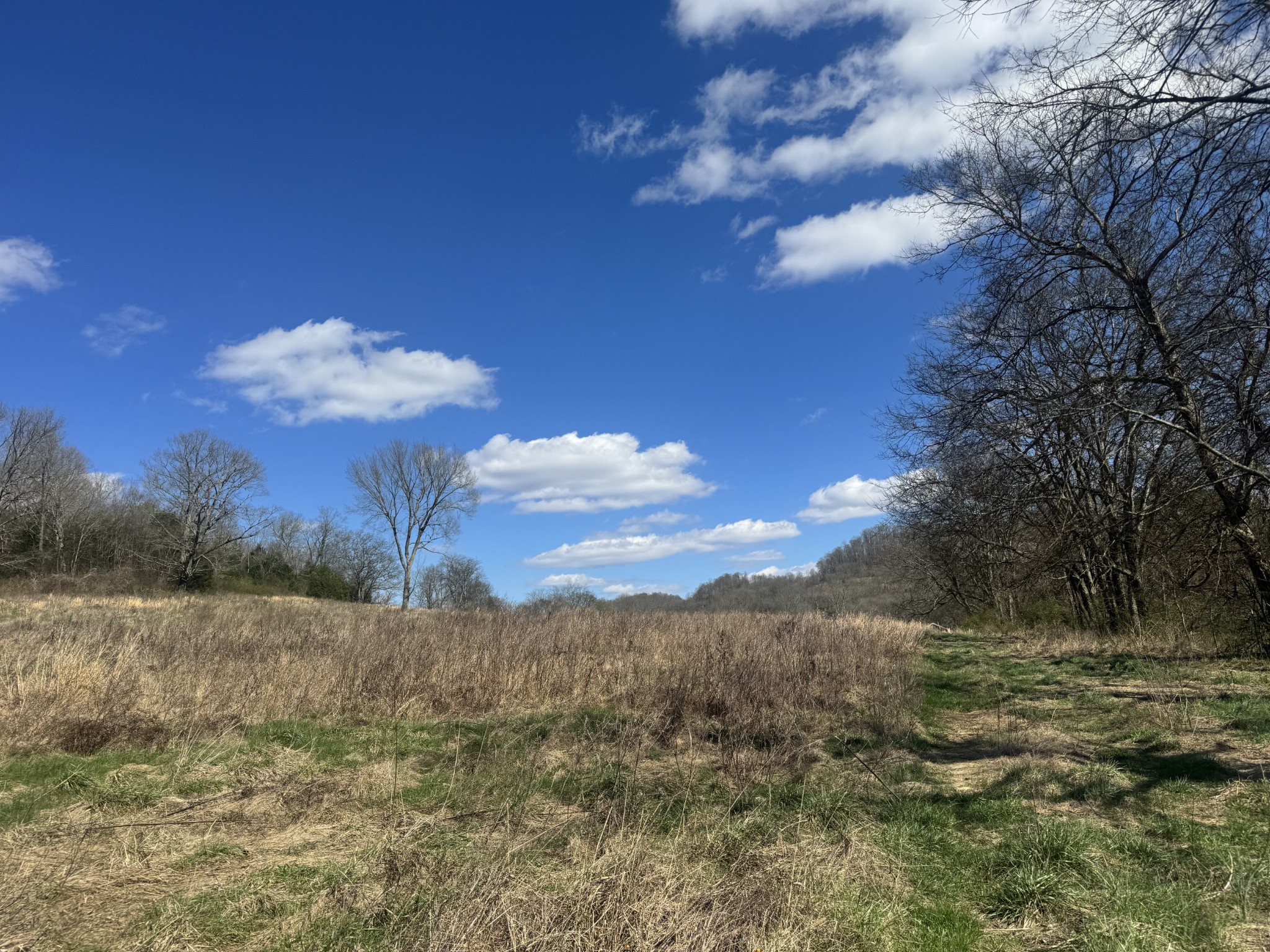 Homes for sale in Gainesboro, TN | 0 Salt Lick Creek Rd, Gainesboro, TN 38562 | MLS# 3150387