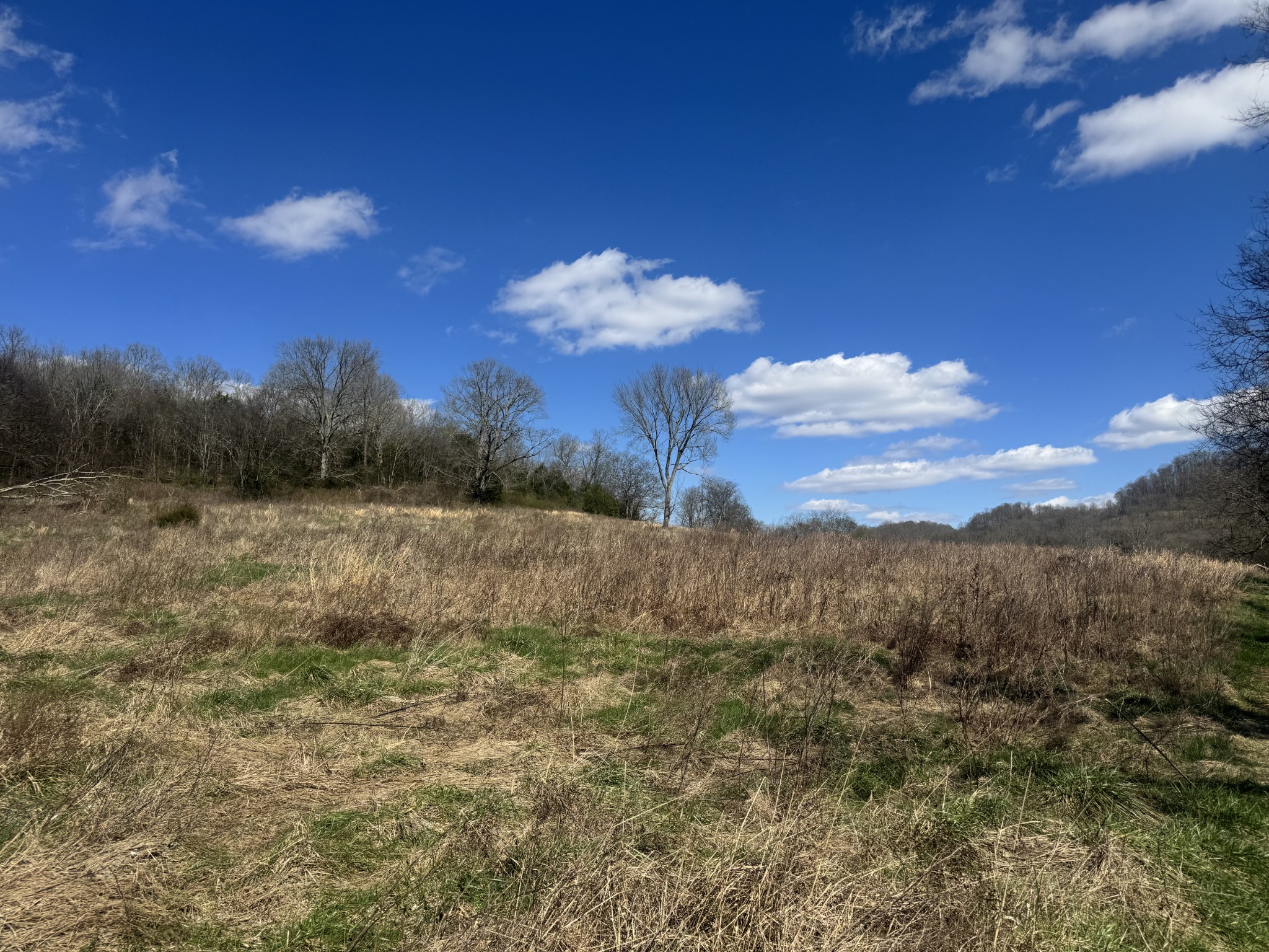 Homes for sale in Gainesboro, TN | 0 Salt Lick Creek Rd, Gainesboro, TN 38562 | MLS# 3150387