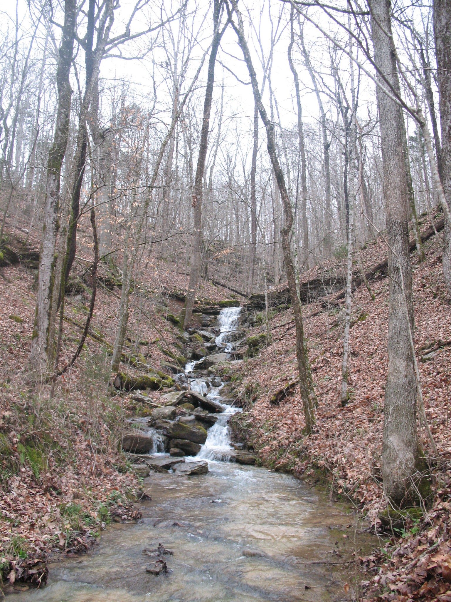 Homes for sale in Jamestown, TN | 0 Cheyenne Dr, Jamestown, TN 38556 | MLS# 3150427