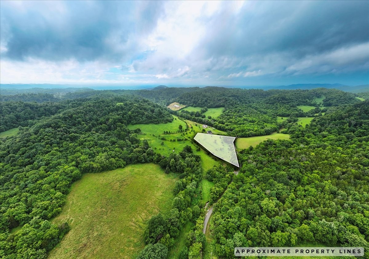 Homes for sale in Beechgrove, TN | 0 Opossum Paw Road, Beechgrove, TN 37018 | MLS# 3152790