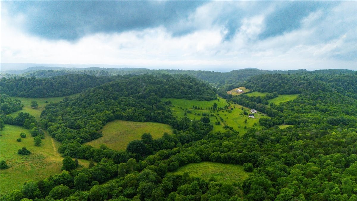 Homes for sale in Beechgrove, TN | 0 Opossum Paw Road, Beechgrove, TN 37018 | MLS# 3152790