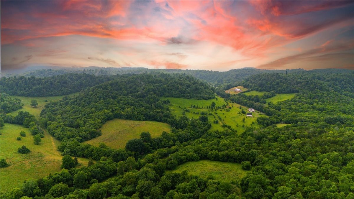 Homes for sale in Beechgrove, TN | 0 Opossum Paw Road, Beechgrove, TN 37018 | MLS# 3152790