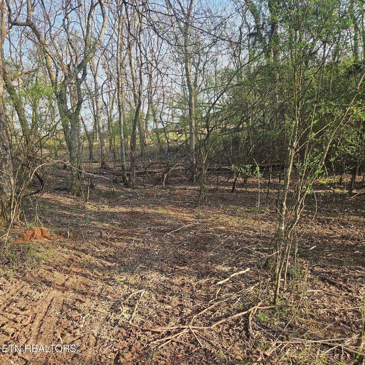 Homes for sale in Rockwood, TN | 0 E Shore Dr, Rockwood, TN 37854 | MLS# 3152637