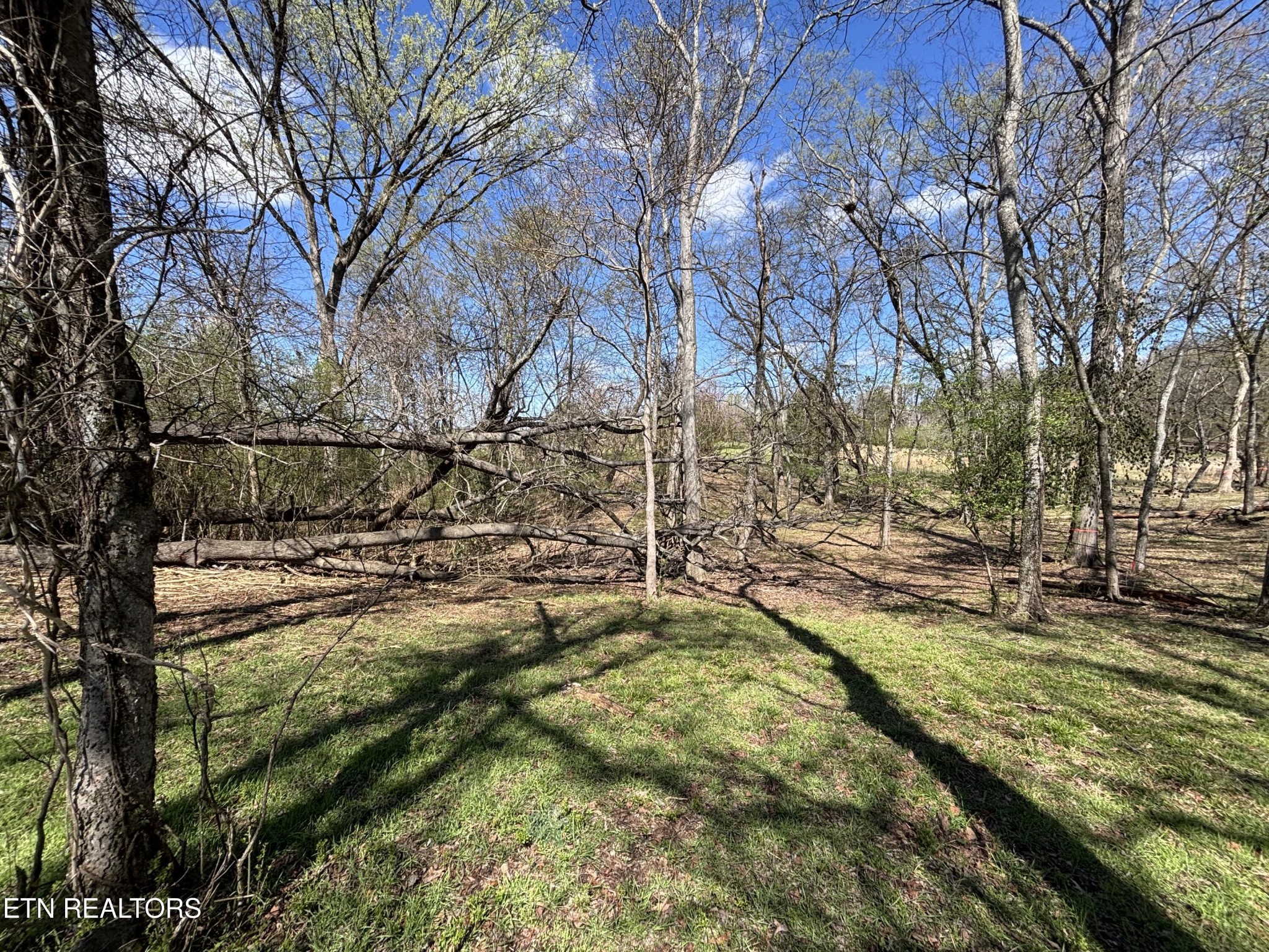 Homes for sale in Rockwood, TN | 0 E Shore Dr, Rockwood, TN 37854 | MLS# 3152637