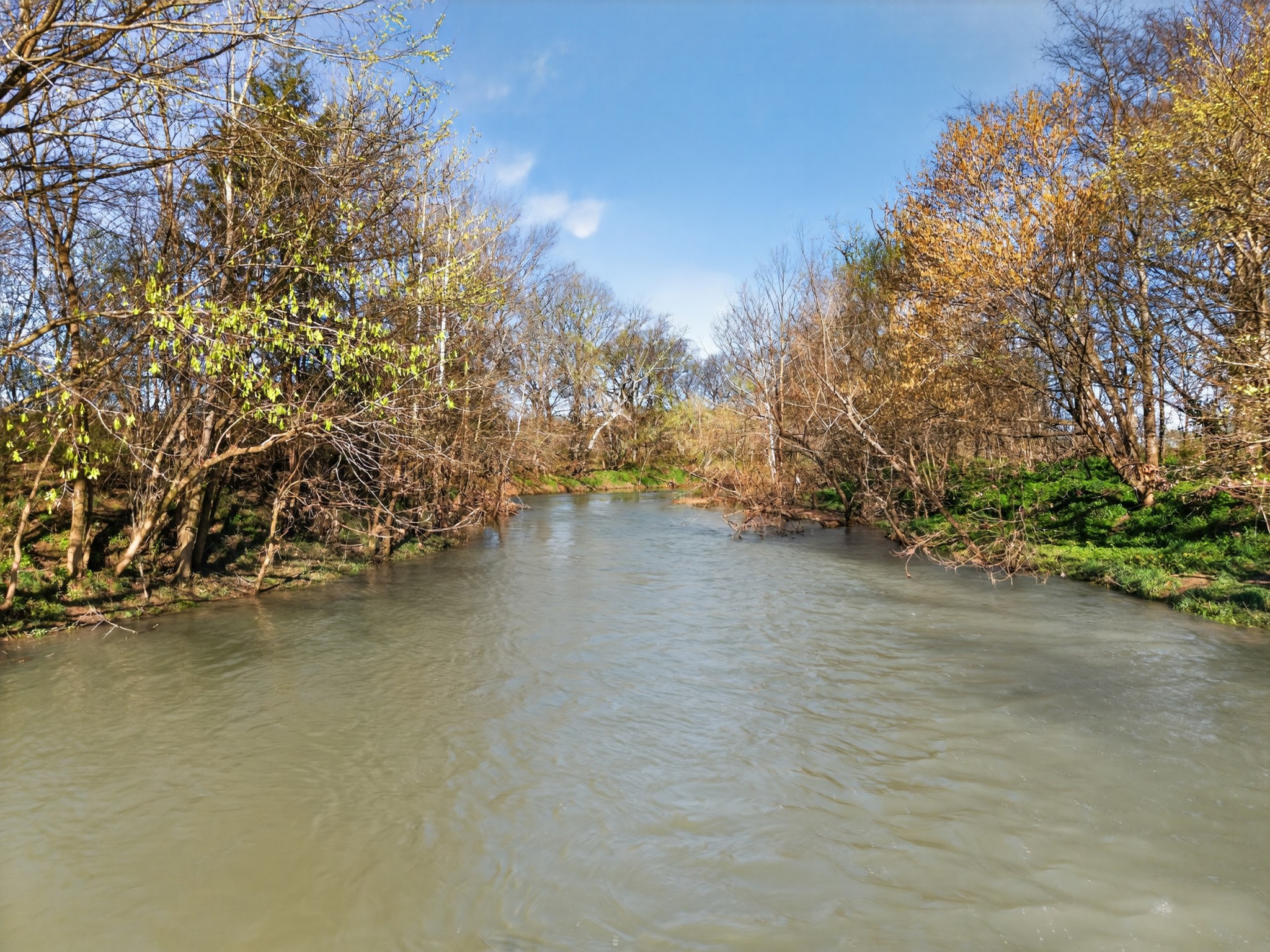 Homes for sale in Fayetteville, TN | 154 March Mill Rd, Fayetteville, TN 37334 | MLS# 3155081