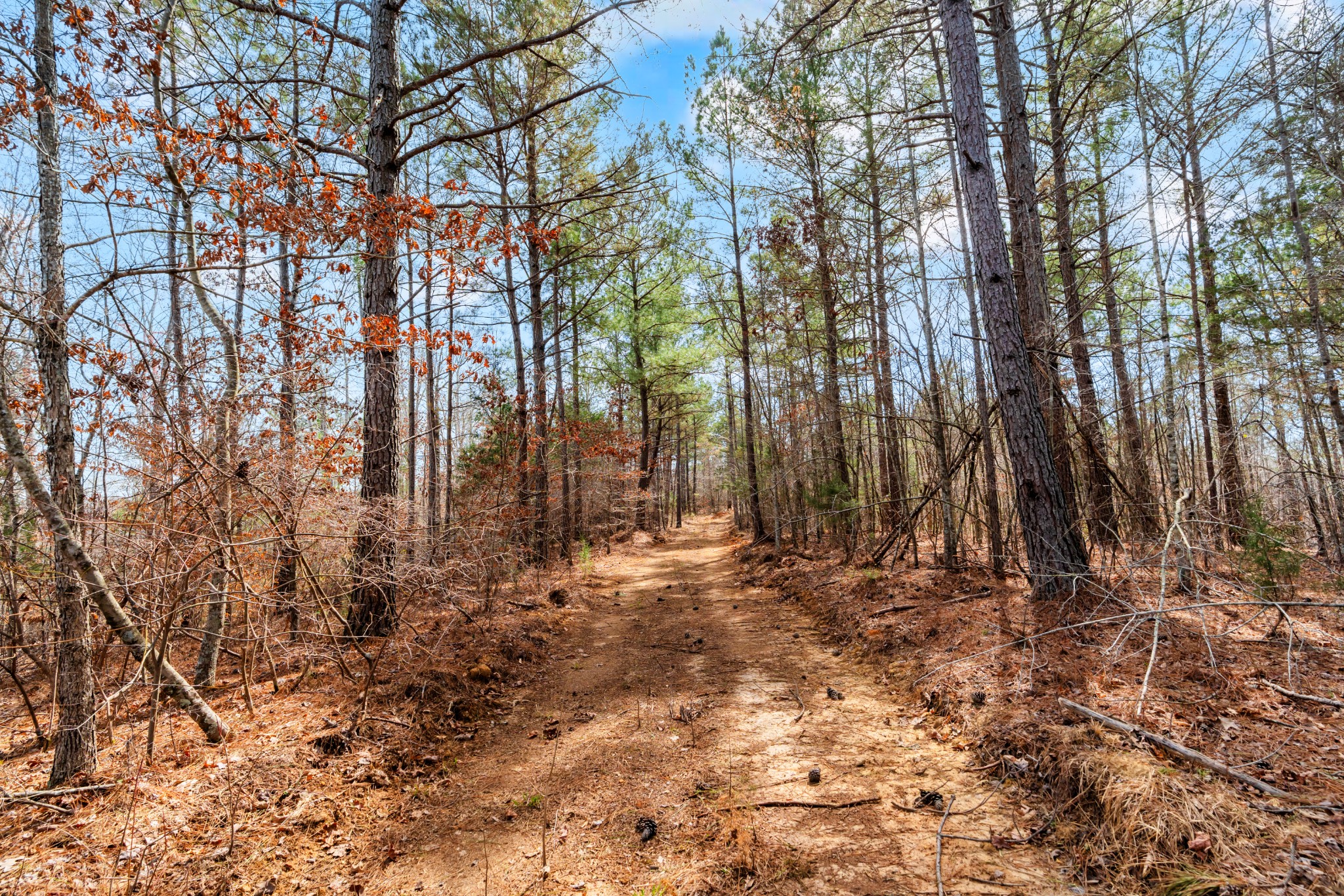 Homes for sale in Sparta, TN | 0 Jay Hutchings Road, Sparta, TN 38583 | MLS# 3152751