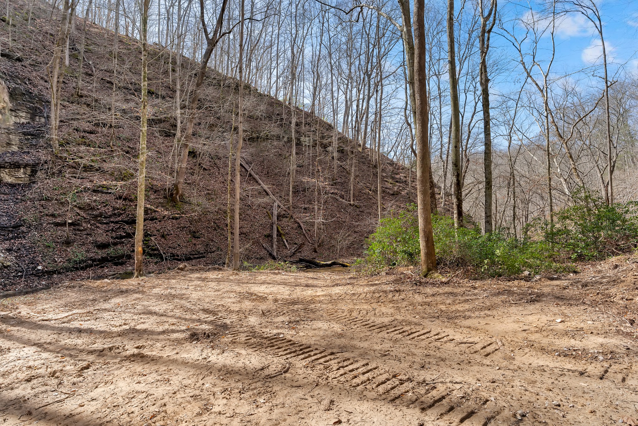 Homes for sale in Sparta, TN | 0 Jay Hutchings Road, Sparta, TN 38583 | MLS# 3152751