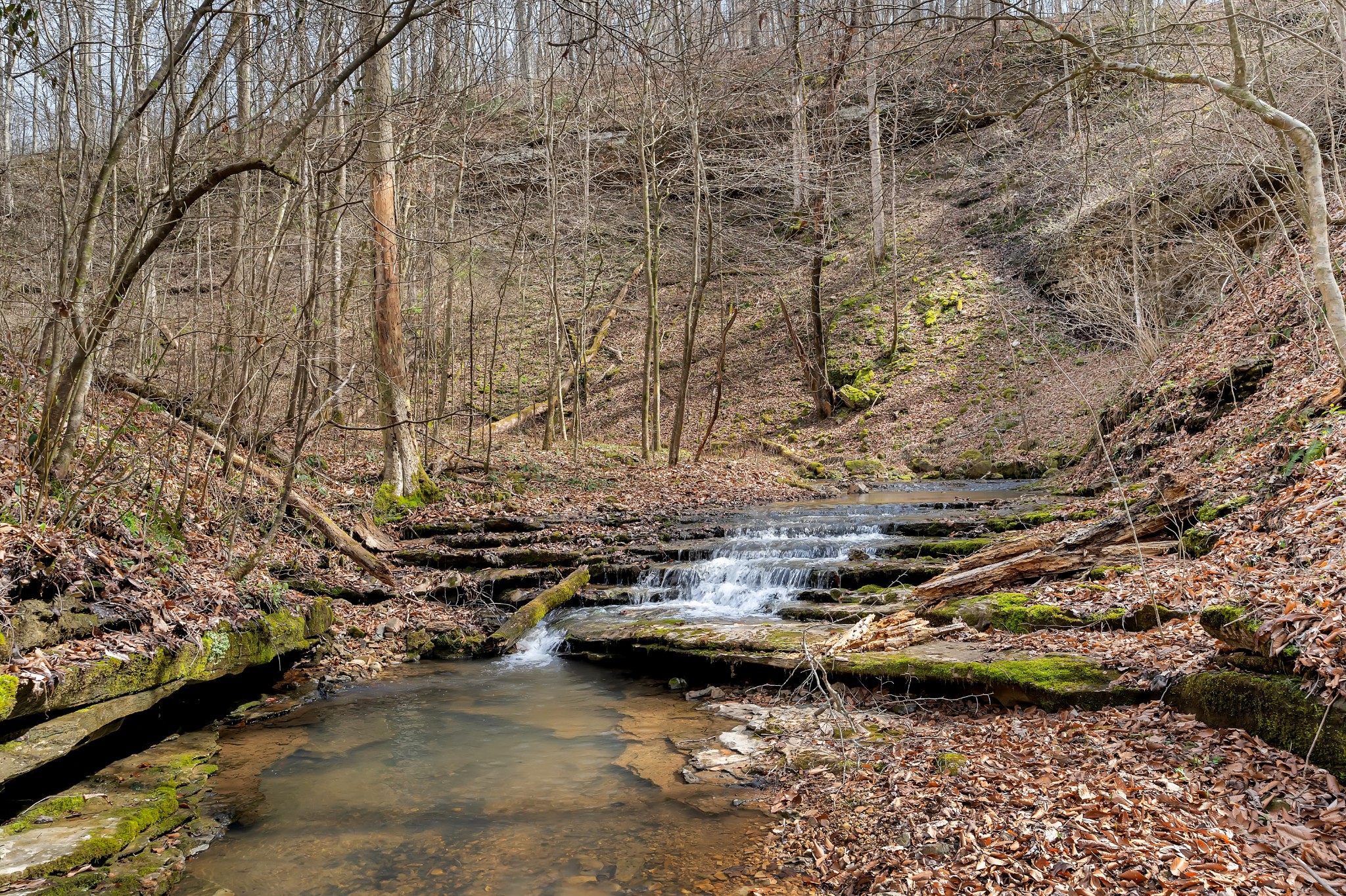 Homes for sale in Sparta, TN | 0 Jay Hutchings Road, Sparta, TN 38583 | MLS# 3152751