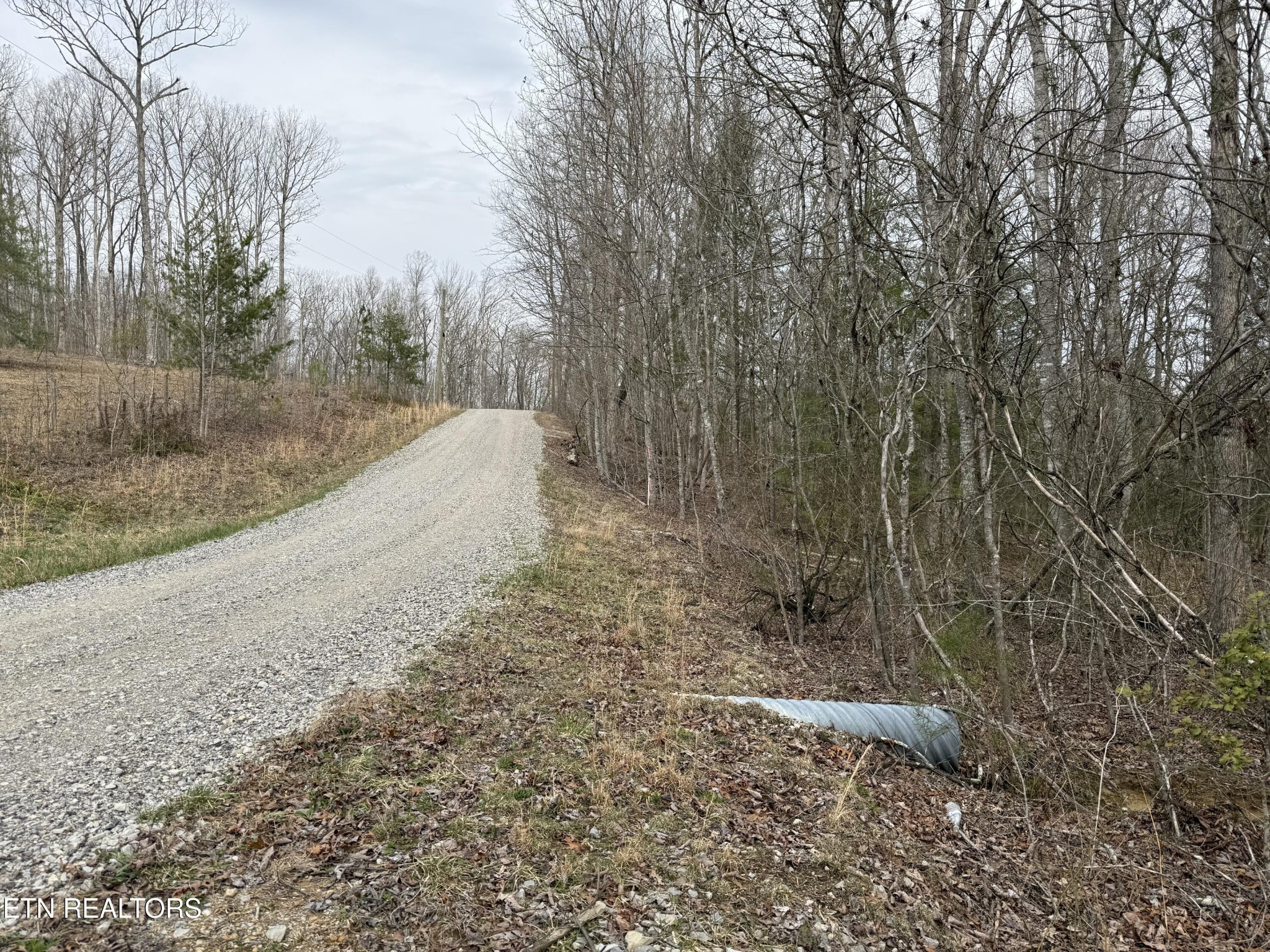 Homes for sale in Jamestown, TN | 0 Northwood Pl, Jamestown, TN 38556 | MLS# 3152783