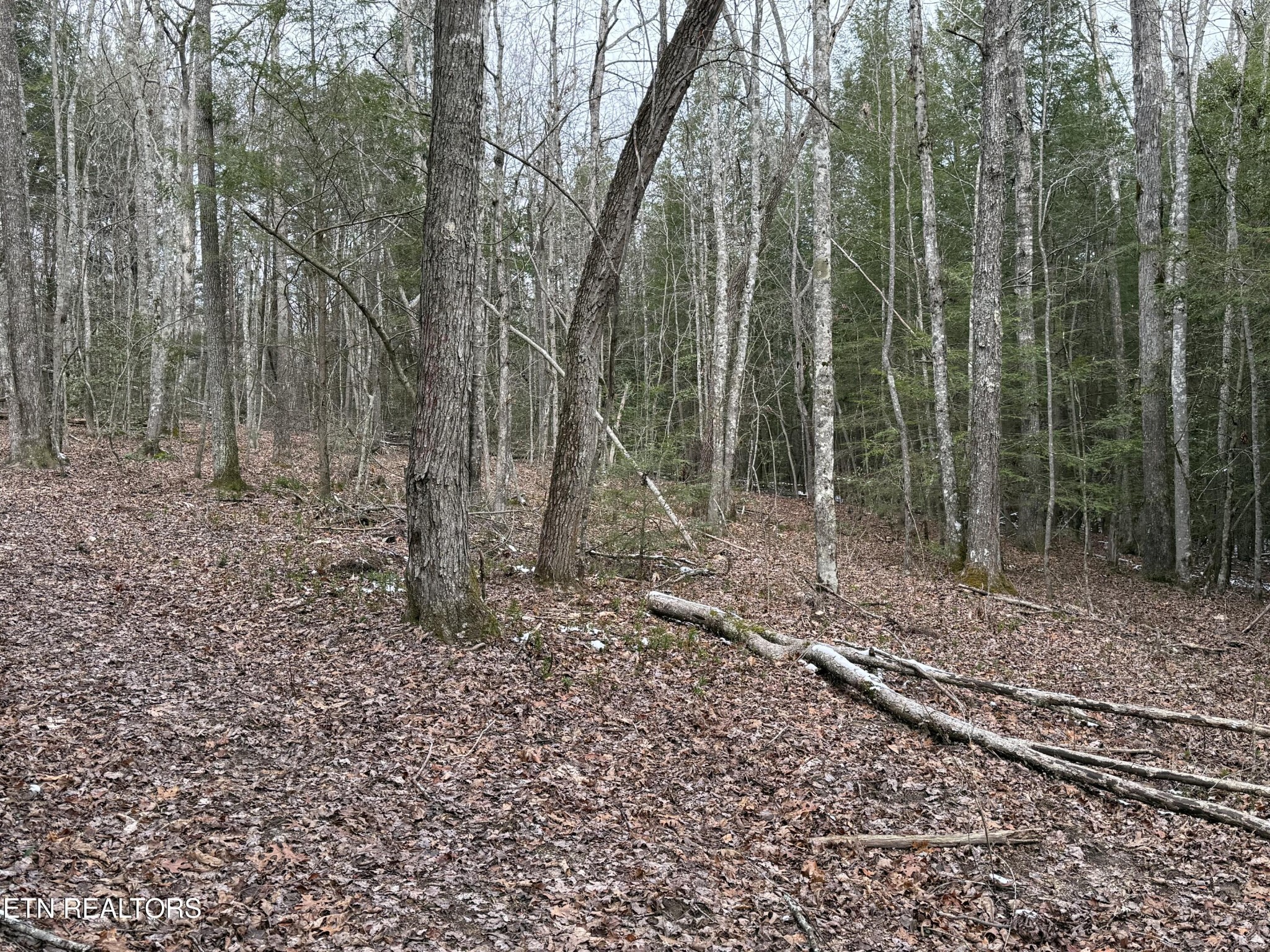 Homes for sale in Jamestown, TN | 0 Northwood Pl, Jamestown, TN 38556 | MLS# 3152783