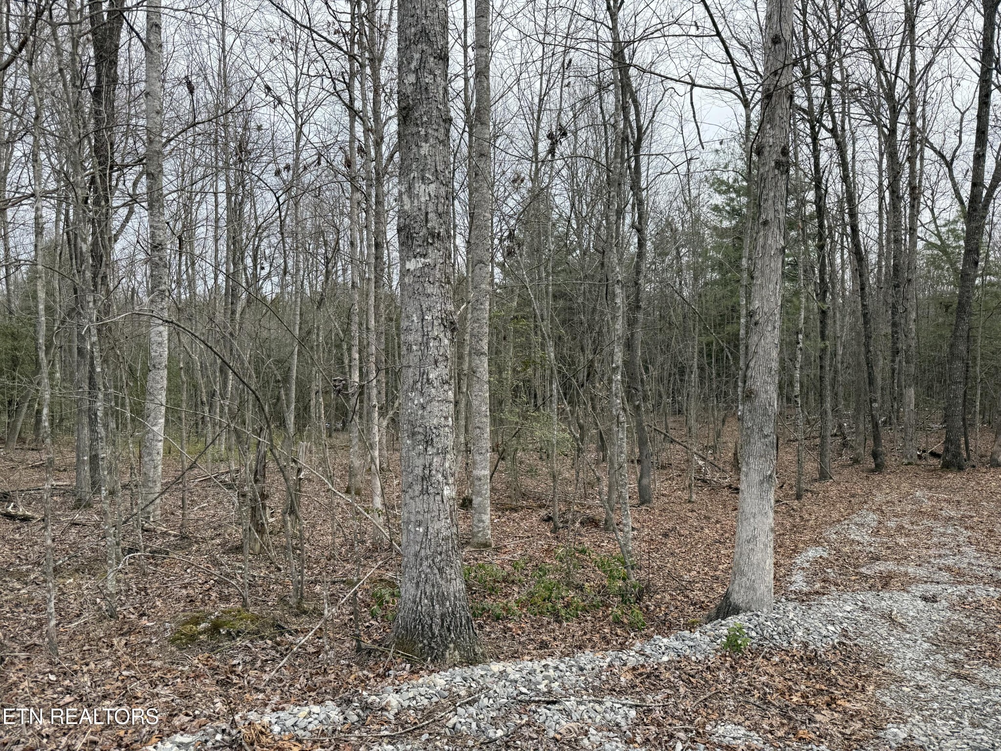 Homes for sale in Jamestown, TN | 0 Northwood Pl, Jamestown, TN 38556 | MLS# 3152783