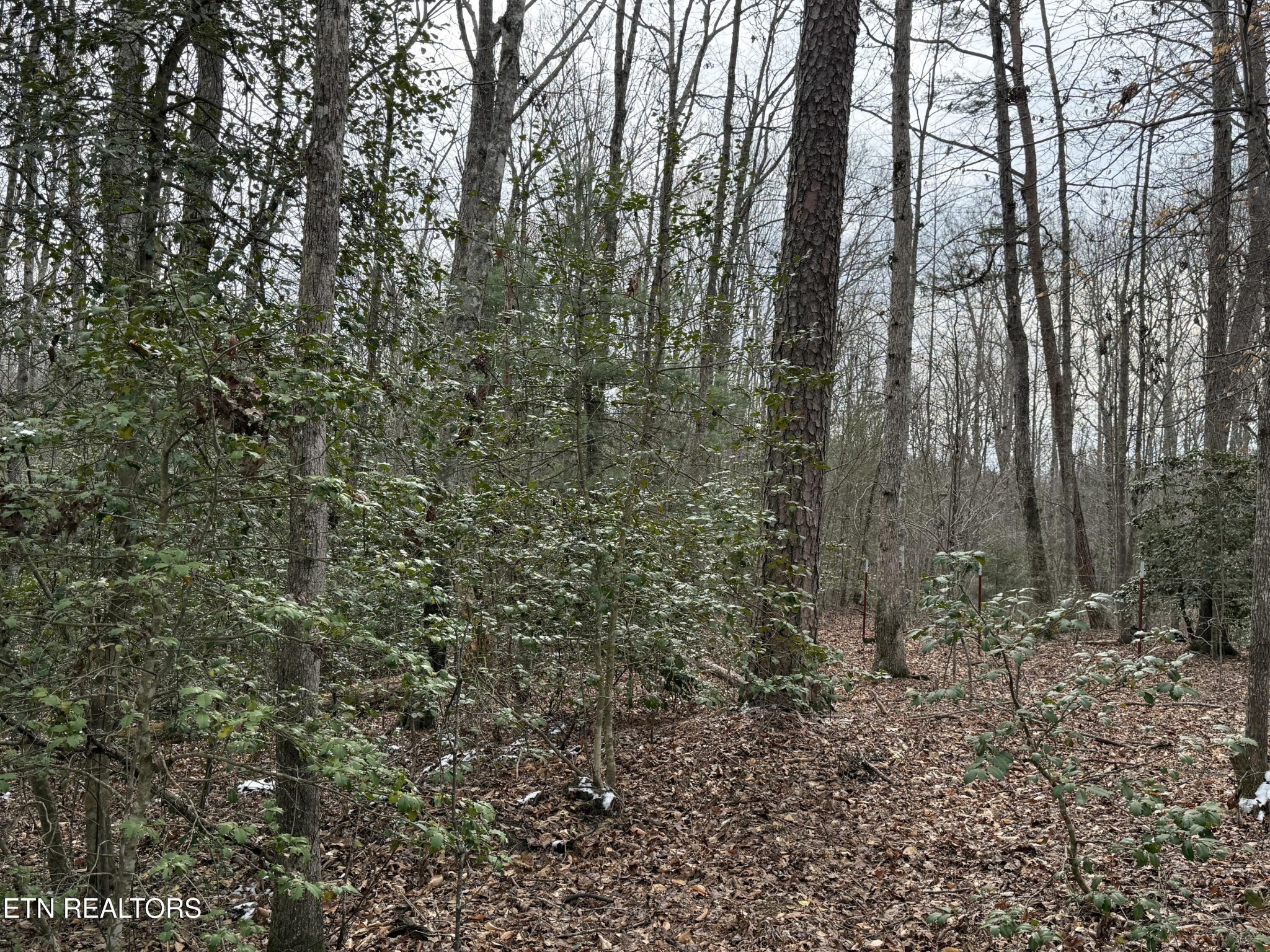 Homes for sale in Jamestown, TN | 0 Northwood Pl, Jamestown, TN 38556 | MLS# 3152783